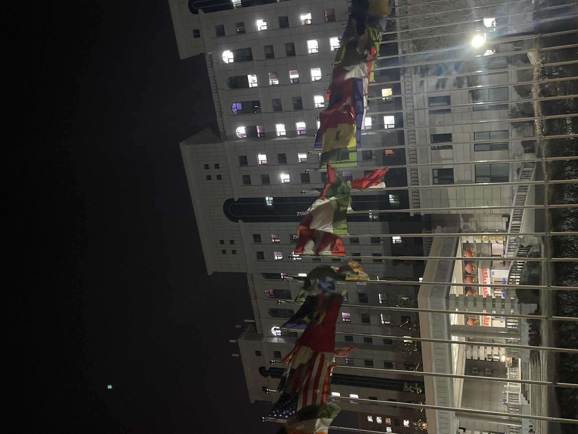 At night in Changchun City, China, the photograph captures a low-angle, upward view through a metal grid toward illuminated buildings. Prayer flags of various nations hang in the foreground, obscuring parts of the background. To the left, the night sky is dark, with a single small green light visible. The building in the center is white with multiple lit windows. In the background, another building is visible through the metal grid.