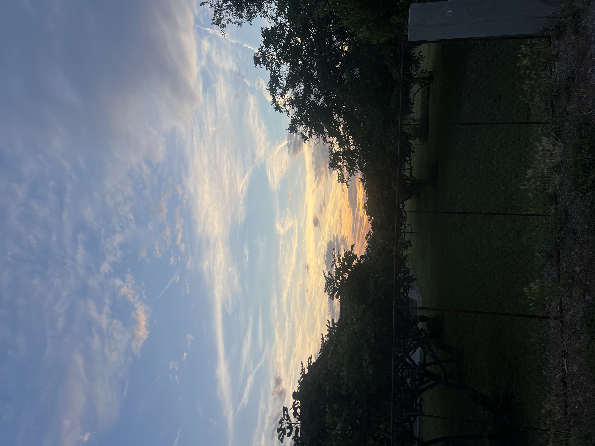 The image displays an outdoor scene at either sunrise or sunset in Podgorica, Montenegro. The sky, occupying approximately two-thirds of the frame, transitions from a pale blue overhead to a gradient of yellow, orange, and pink hues near the horizon on the left and center, indicative of low sun angle. Various cloud formations are present, including scattered white cirrus clouds and denser, greyish stratocumulus clouds, particularly on the right side. Multiple white linear contrails, likely from aircraft, are visible, traversing the sky. Below the sky, a dense line of dark green, heavily foliated trees forms the horizon. The midground features a dark green grassy area, appearing as a lawn, interspersed with additional dark-leafed trees that are largely silhouetted. In the foreground, a low, rusty metal chain-link fence with vertical posts extends horizontally across the lower portion of the image. The ground immediately beneath the fence consists of rough terrain with sparse, dry vegetation and small purple flowers visible on the far left. On the far right, the fence terminates at a vertical grey concrete pillar. No human or animal subjects are discernible within the frame.