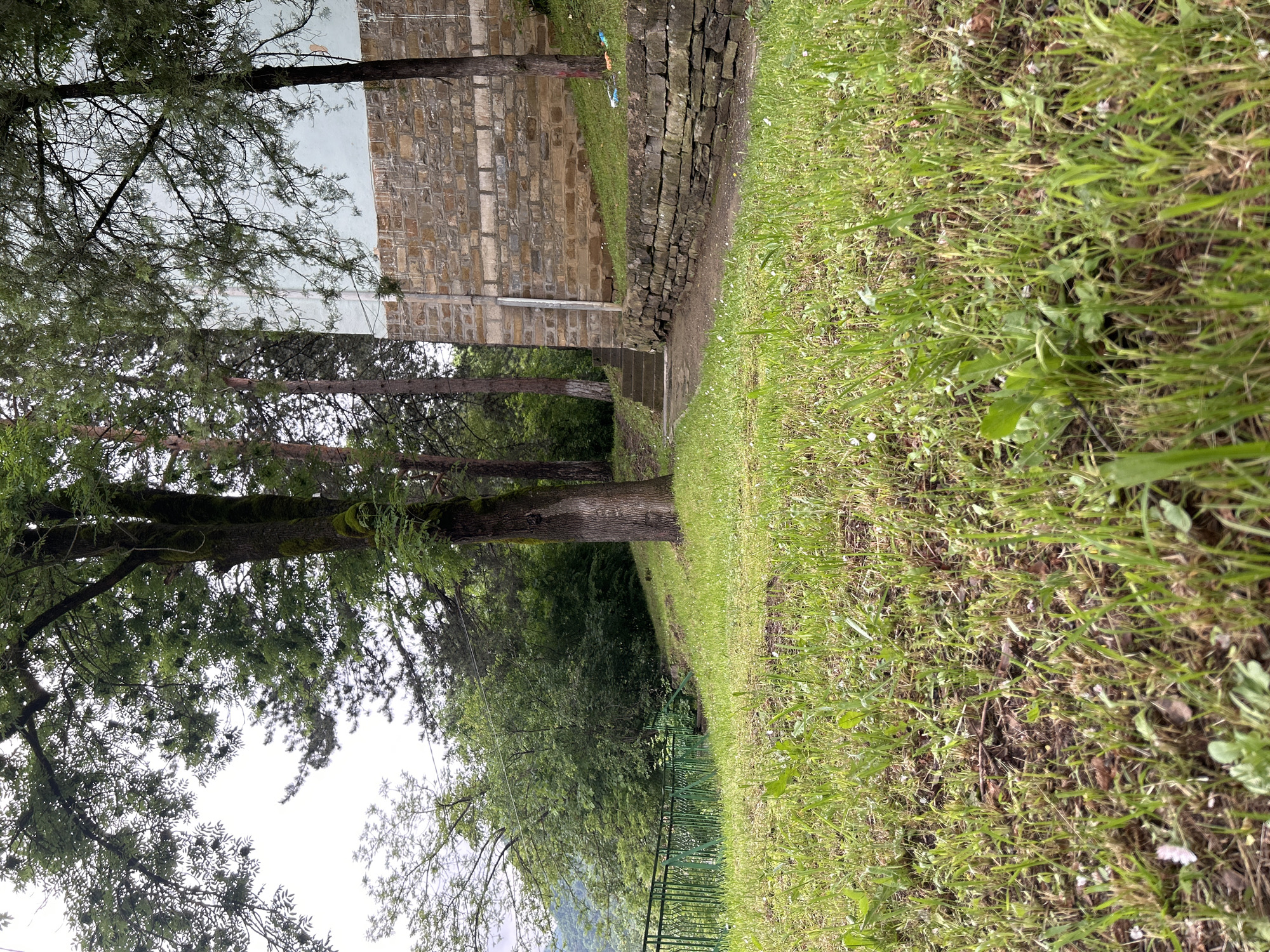 The image shows a grassy area alongside a stone building and a path leading up steps. The scene includes trees with green foliage, a metal railing, and various types of grass and plants. The location is a park or garden-like setting in the city of Unknown, Unknown. There are no people in the scene.