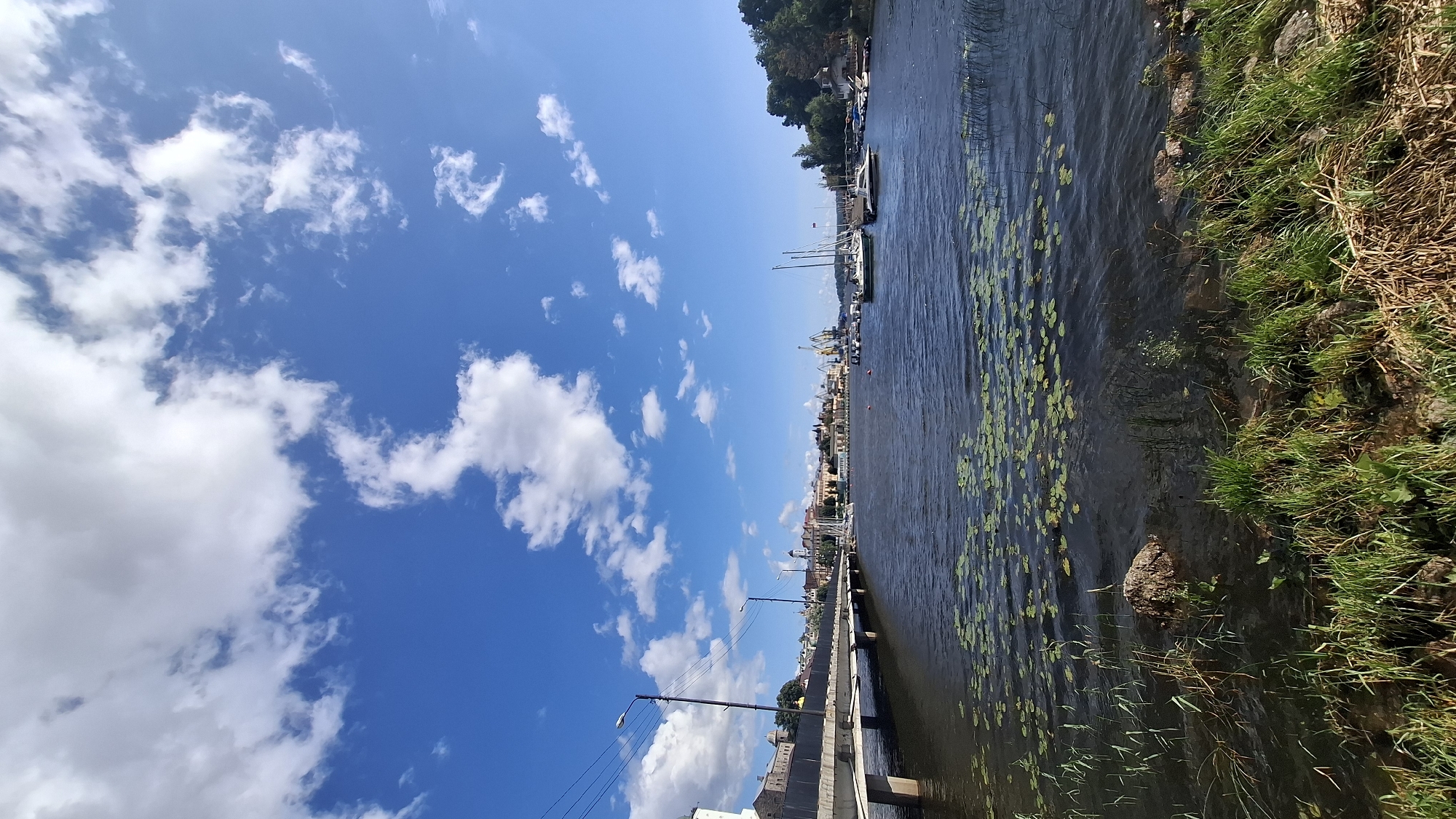 The image captures a scenic view of the Vyborg Bay in Vyborg, Russia, on a bright, partly cloudy day. The foreground is dominated by the dark, rippling water, dotted with lily pads and bordered by lush green grass and dry reeds along the bank. A large rock is visible in the water near the bank.
A concrete pedestrian bridge stretches across the bay from the left side of the frame, with lampposts lining its edge. Beyond the bridge, the cityscape of Vyborg unfolds, featuring historical buildings with distinct architecture, including domes and spires. The skyline is punctuated by cranes, suggesting a working port area.
Several sailboats and smaller motorboats are moored or navigating the bay, adding to the maritime atmosphere. The sky above is a vibrant blue, interspersed with fluffy white clouds. The overall scene evokes a peaceful and picturesque urban waterfront.