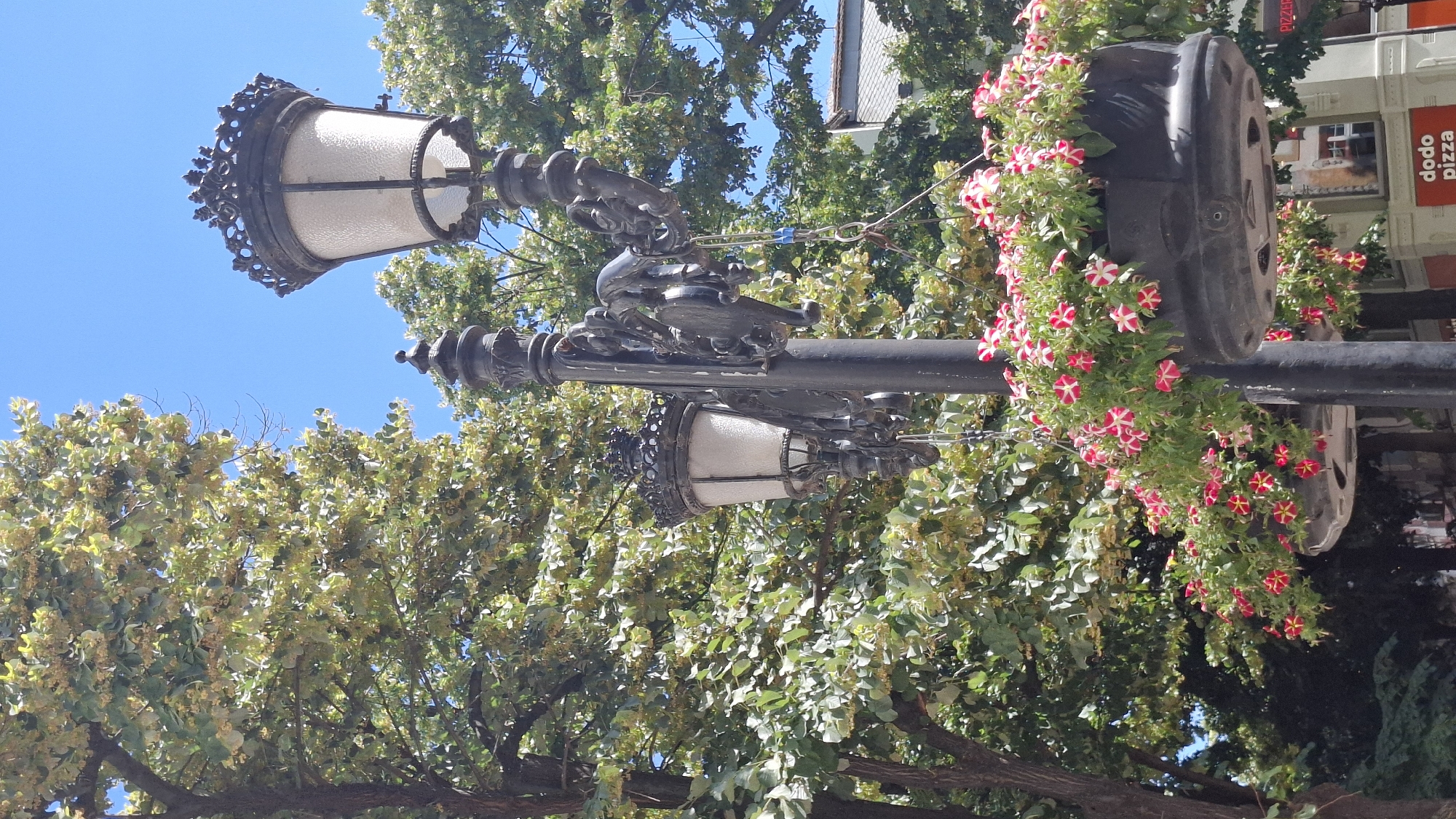 A black lamppost with ornate detailing stands in the foreground, adorned with two lights and hanging baskets of pink and white petunias. The lamppost is located on a pedestrian street in Plovdiv, Bulgaria. In the background, lush green trees with yellow blossoms and a bright blue sky create a summery atmosphere. Buildings are partially visible, including a structure with a sign for "Dodo Pizza." No people are clearly visible in the frame, suggesting a relatively quiet moment on the street. The image captures a charming urban scene, blending natural elements with decorative street furniture.
