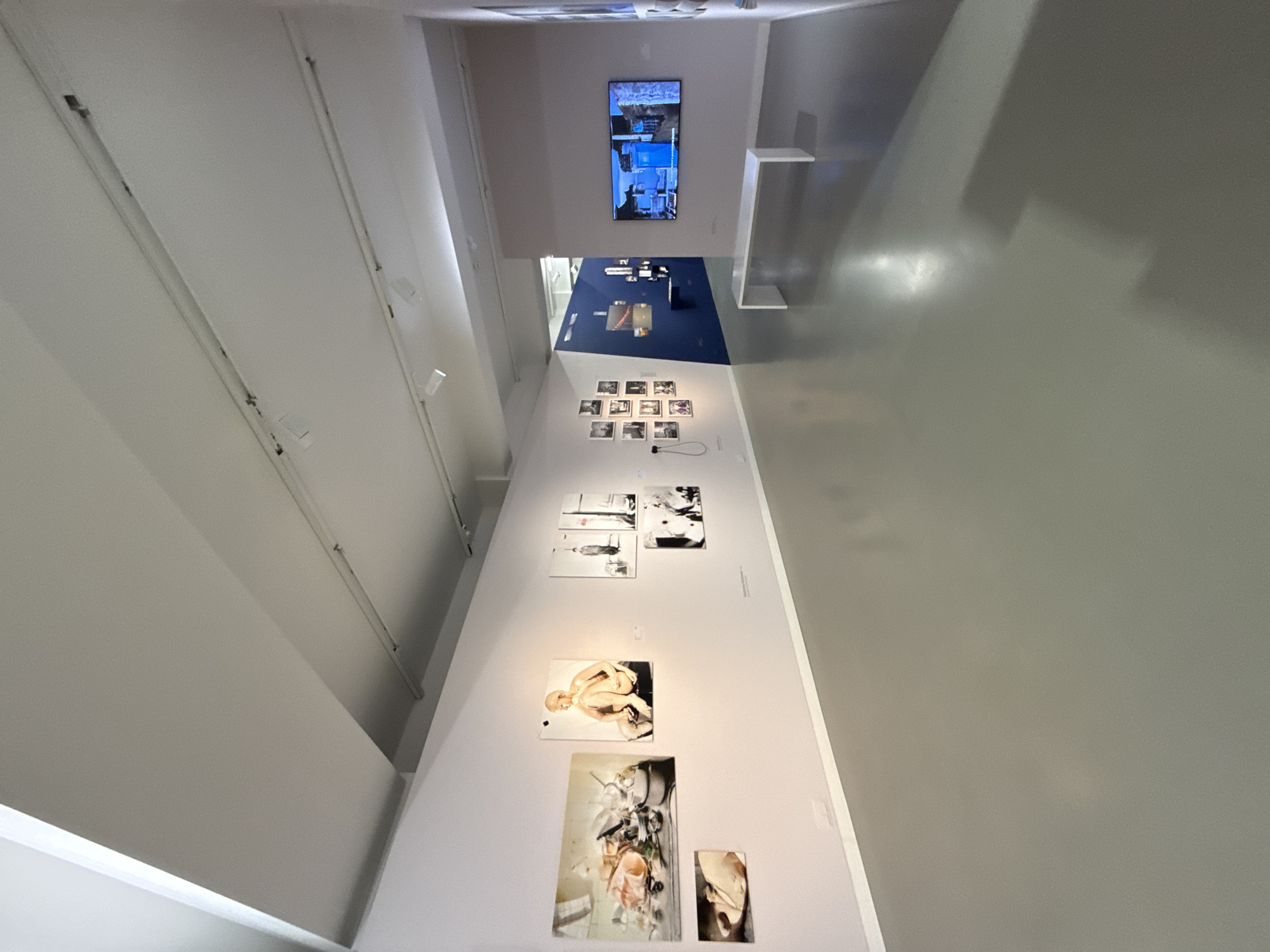 This image depicts an interior view of an art gallery or exhibition space. The walls are painted a light color, and the floor is a smooth, reflective gray surface. Several artworks are displayed on the walls, including a collection of framed photographs arranged in a grid and larger-format pieces. In the distance, a blue wall features additional displays and what appears to be a television screen mounted on a gray wall, showing a colorful image. A white bench is positioned in front of the television. The lighting is provided by track lighting systems on the ceiling. The overall environment suggests a contemporary art exhibition. The location is identified as the MMK Museum für Moderne Kunst in Frankfurt, Germany. There are no people visible in the image.