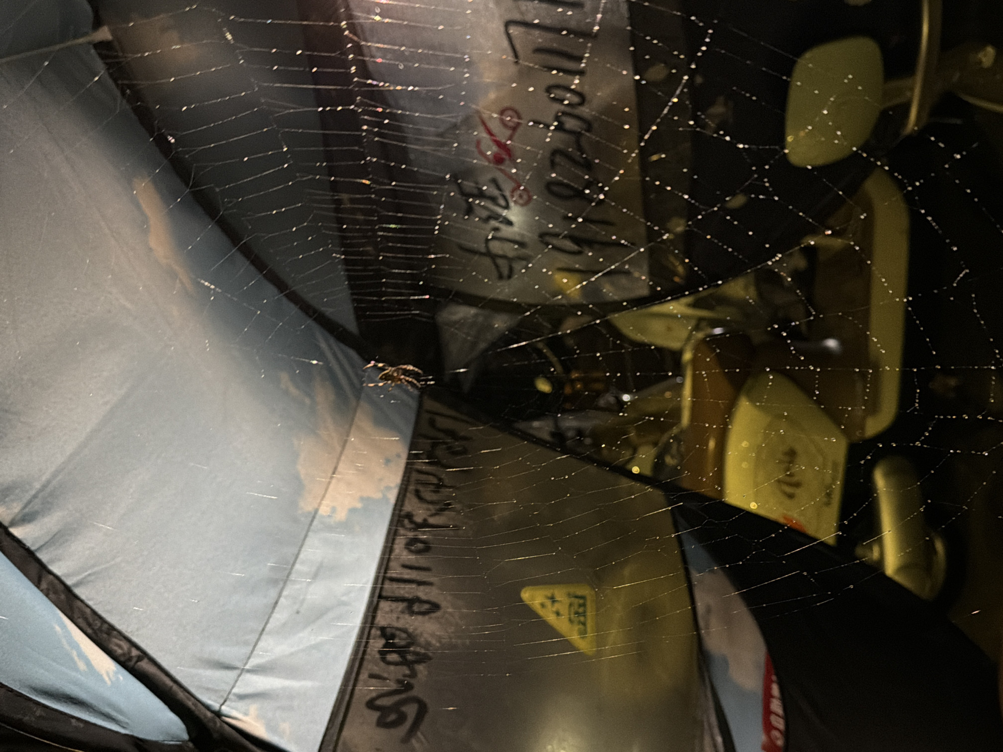 A spiderweb with dew drops is strung across the interior of what appears to be an umbrella, with a sky-and-cloud pattern visible on the fabric. A small spider is perched on the web. In the background, through the web, a yellow object with writing on it is partially visible, along with some writing on the umbrella's surface. The overall setting suggests an outdoor environment at night, possibly in a city. The specific location of Chongqing High-tech Zone, China, is not visually discernible from the image alone.