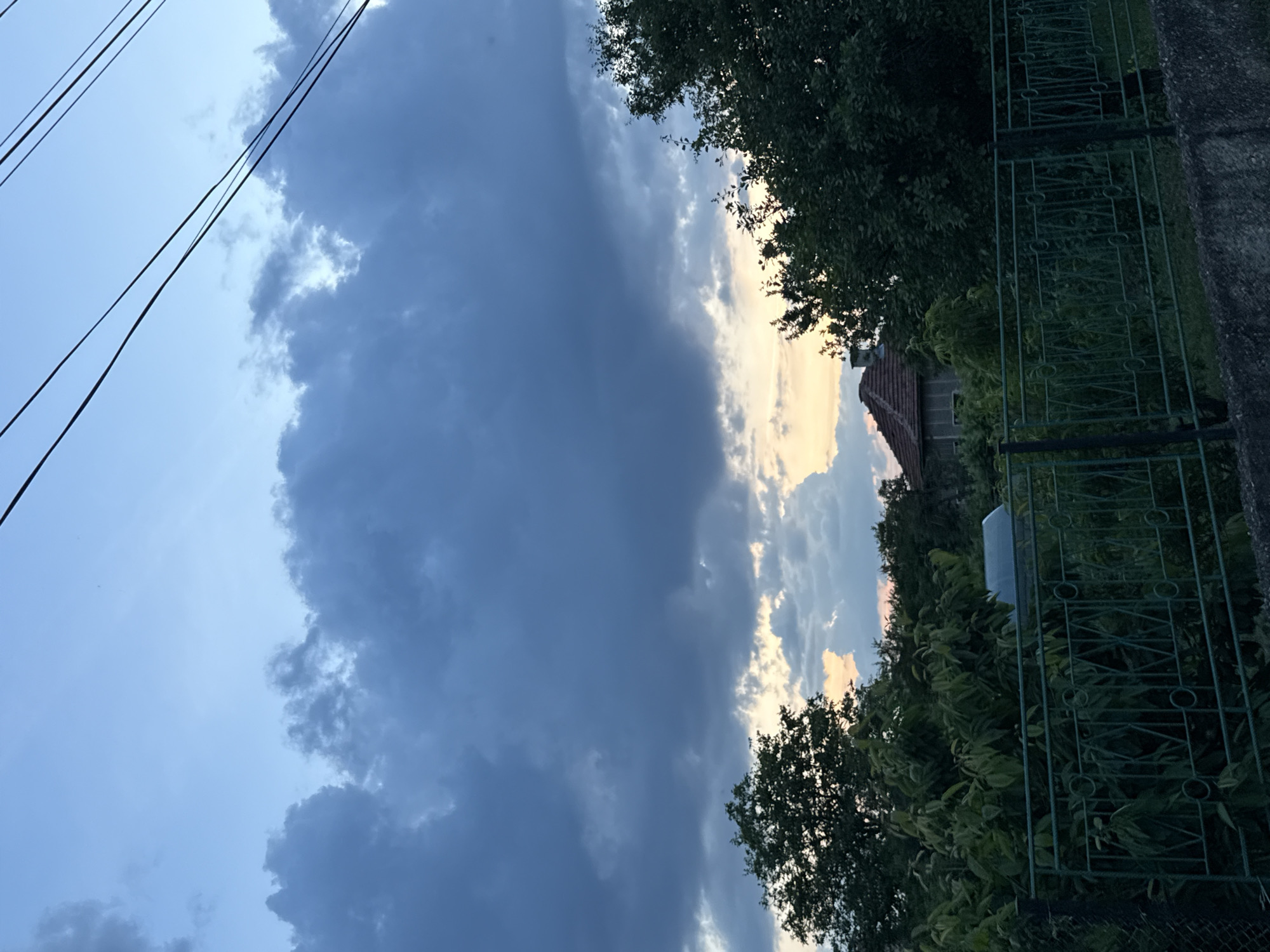 The image displays a late evening or dusk scene in Mirovyane, Bulgaria, characterized by a complex sky and dense vegetation over structures. The upper third of the frame shows a light blue sky, crossed diagonally from upper left to upper right by four parallel dark power lines. Below this, a significant band of dense, dark grey cumuliform clouds occupies the central sky, extending horizontally across the width of the image. Towards the horizon, beneath these primary cloud masses, pockets of lighter clouds are illuminated with soft orange and yellow hues, indicating a sunset.
The lower half of the image is dominated by lush green foliage. Large, dark green trees are prominent on both the left and right sides, with their canopy obscuring portions of the horizon and middle-ground. In the middle-ground, partially visible through the dense trees, stands a building with a distinct reddish-brown tiled roof and a visible chimney. To the left of this structure, a light-colored, potentially metallic, rectangular object, possibly a small shed or greenhouse, is situated among the foliage. The immediate foreground features a dark green metal fence with repeating circular and crisscross patterns, spanning horizontally across the lower part of the frame. Below the fence, a coarse concrete wall or ledge forms the very base of the scene. No individuals or active subjects are present. The overall lighting is dim, consistent with twilight conditions.