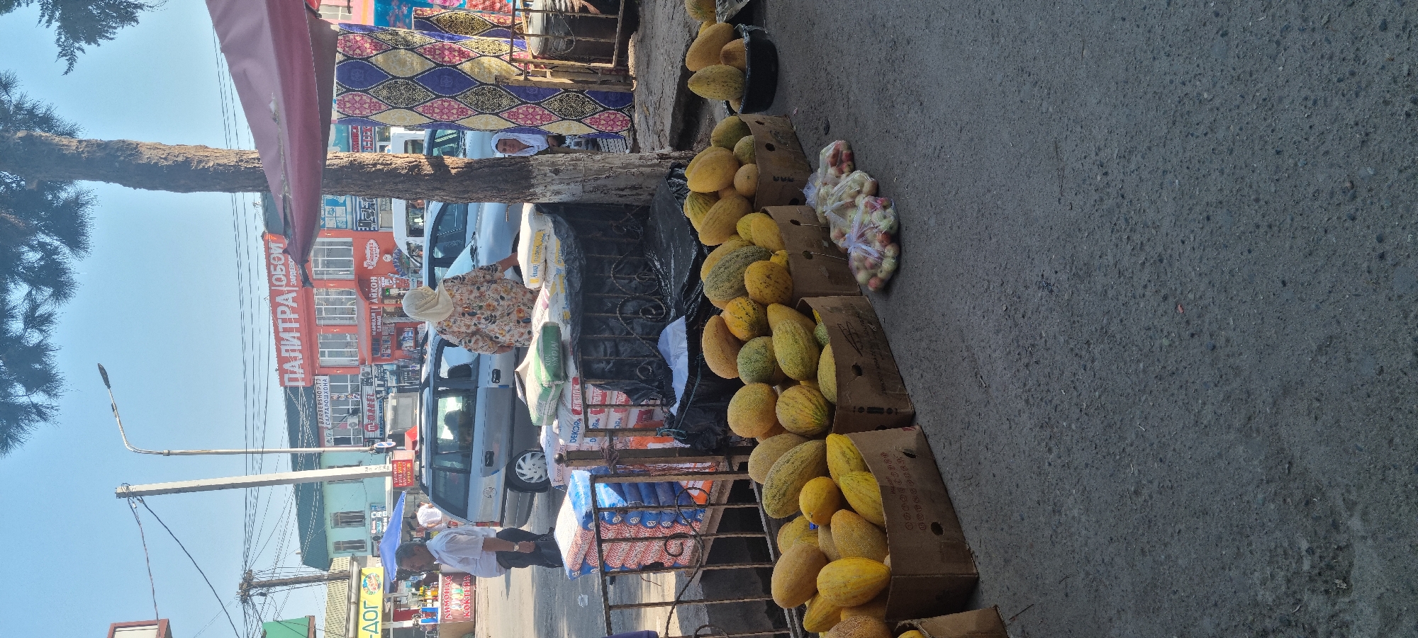 The image depicts a street market scene in Bokhtar, Tajikistan, on a clear day. In the foreground, several cardboard boxes are filled with ripe melons, primarily yellow and green varieties. Alongside the melons, there are bags of apples. A black tarp covers some of the merchandise. Behind the produce, there is a display of bagged goods, possibly flour or grain, stacked neatly. A metal fence separates the market stalls from the street.
In the midground, two people are visible. A man in a white shirt and dark pants stands near a silver station wagon, looking towards the left. A woman wearing a colorful headscarf and dress is standing by the station wagon, facing away from the camera. Another woman, wearing a white hijab, is partially visible behind a tree on the right side of the image. The station wagon appears to be parked on the street.
The background reveals buildings with various signage. One building has a large red sign with white Cyrillic lettering that appears to be an advertisement for "PALITRA" (ПALITPA) and "OBOI" (ОБОИ), suggesting a paint or wallpaper store. Other signs are visible, including one that reads "AYKHON" (АЙХОН). A street lamp stands tall on the left side of the frame. Trees with green foliage provide shade. The overall environment suggests a bustling urban market.