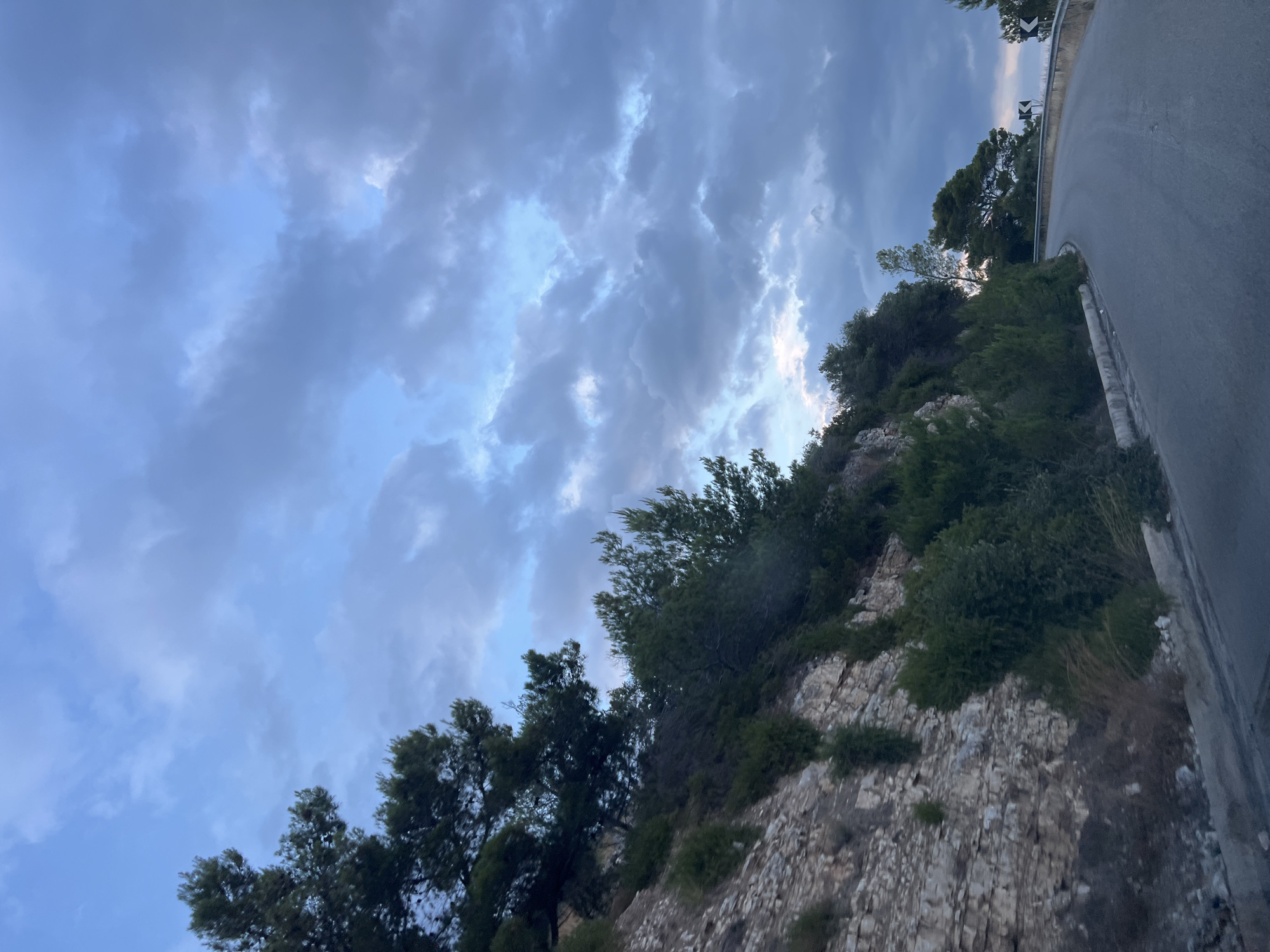 The image shows a winding road carved into a rocky, tree-covered hillside, likely on the coast of Mattinata, Italy. The sky is filled with dramatic, cloudy formations, suggesting either dusk or a storm approaching. The road surface is asphalt, and a low concrete barrier lines the edge of the cliff. Dense green foliage, including pine trees, grows on the steep slopes. Two black and white directional signs are visible along the roadside, indicating sharp curves in the road. The scene is devoid of people or any visible activity, presenting a solitary and natural landscape.