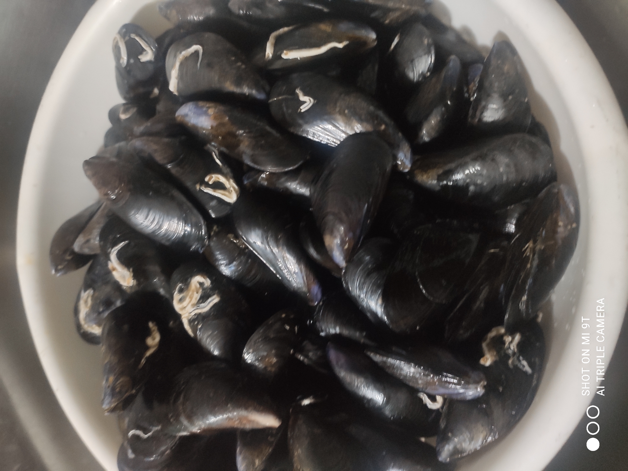 A close-up, overhead shot captures a white bowl filled with mussels. The mussels are dark blue to black, with some showing hints of iridescent purple. Their shells are varied in size and shape, with some slightly ajar revealing a pale interior. A few mussels have strands of their beards still attached. The bowl appears to be set on a stainless steel surface, possibly a sink, given the reflective nature of the background. The image is a still-life photograph of raw seafood, likely before preparation. The text overlay in the bottom left corner indicates the image was taken with a "MI 9T AI TRIPLE CAMERA". There is no information about the location of Bagnoli di Sopra, Italy in the image or its metadata.