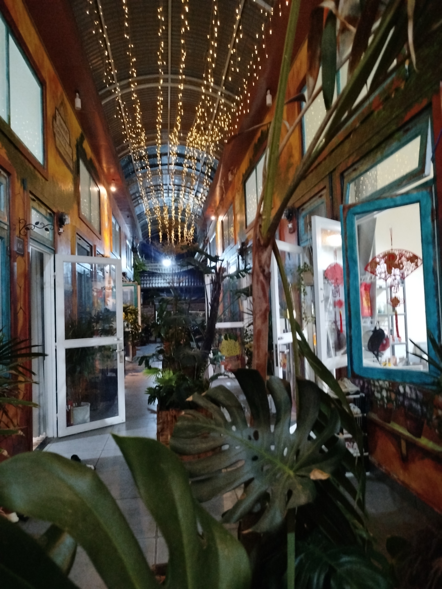 The image shows an indoor corridor or hallway in Da Lat, Vietnam, decorated with plants and string lights. The corridor is lined with windows and doors, some of which are open, offering glimpses of the interior spaces. A variety of plants, including large-leafed specimens, are prominently featured, creating a botanical ambiance. String lights are strung across the ceiling, illuminating the space with a warm glow. The walls are painted in a variety of colors and patterns, adding to the eclectic decor. The floor appears to be tiled.