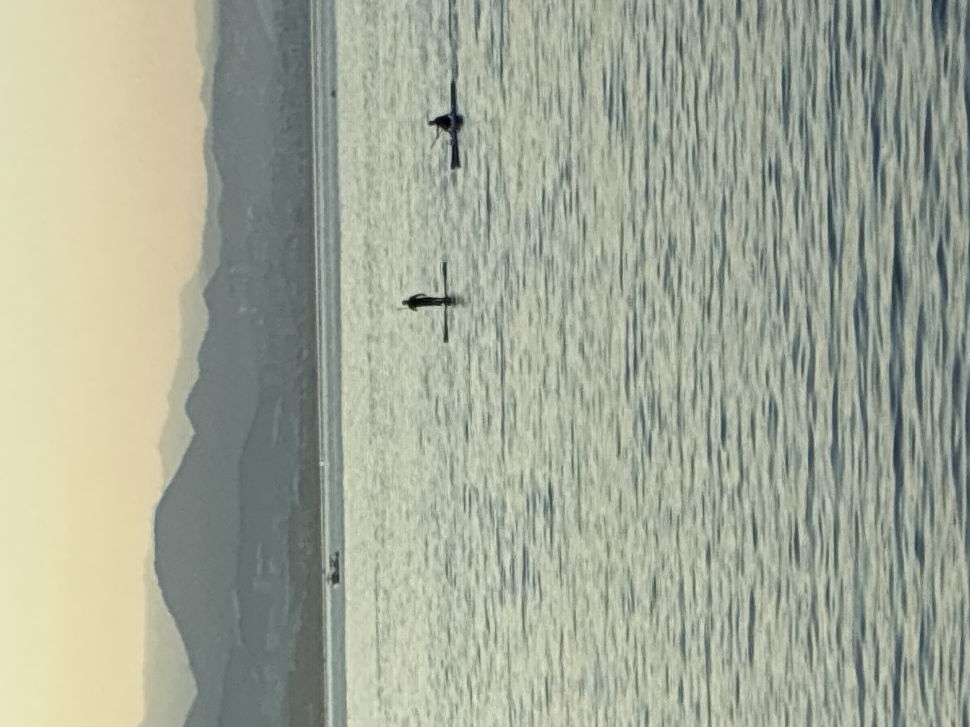 The image depicts a serene, wide shot of the sea at dusk, with a hazy silhouette of mountains in the background. In the mid-ground, two individuals are engaged in water sports. On the left, a person stands upright on a paddleboard, holding a paddle. To their right, another individual is seated in a kayak, paddling. A small boat is visible in the far distance, near the coastline. The sky is a soft gradient of yellow and grey, indicating the setting sun. The water is calm with subtle ripples reflecting the muted light. This scene likely captures a moment along the coast of Alanya, Turkey, known for its beautiful coastline and mountainous backdrop.