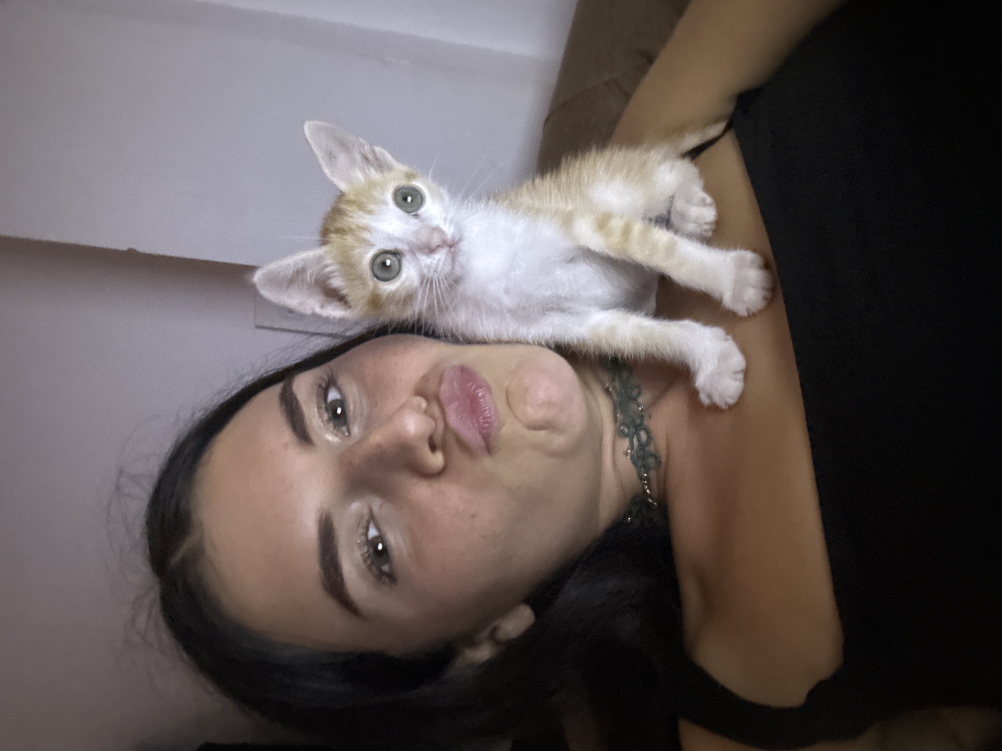 A young woman with long, dark hair is lying on her back, looking at the camera with a slightly puckered expression. An orange and white kitten is perched on her chest, also looking at the camera. The background is blurred, but appears to be a dimly lit indoor space. I don't have enough information to determine that this image was taken in Mũi Né, Vietnam.