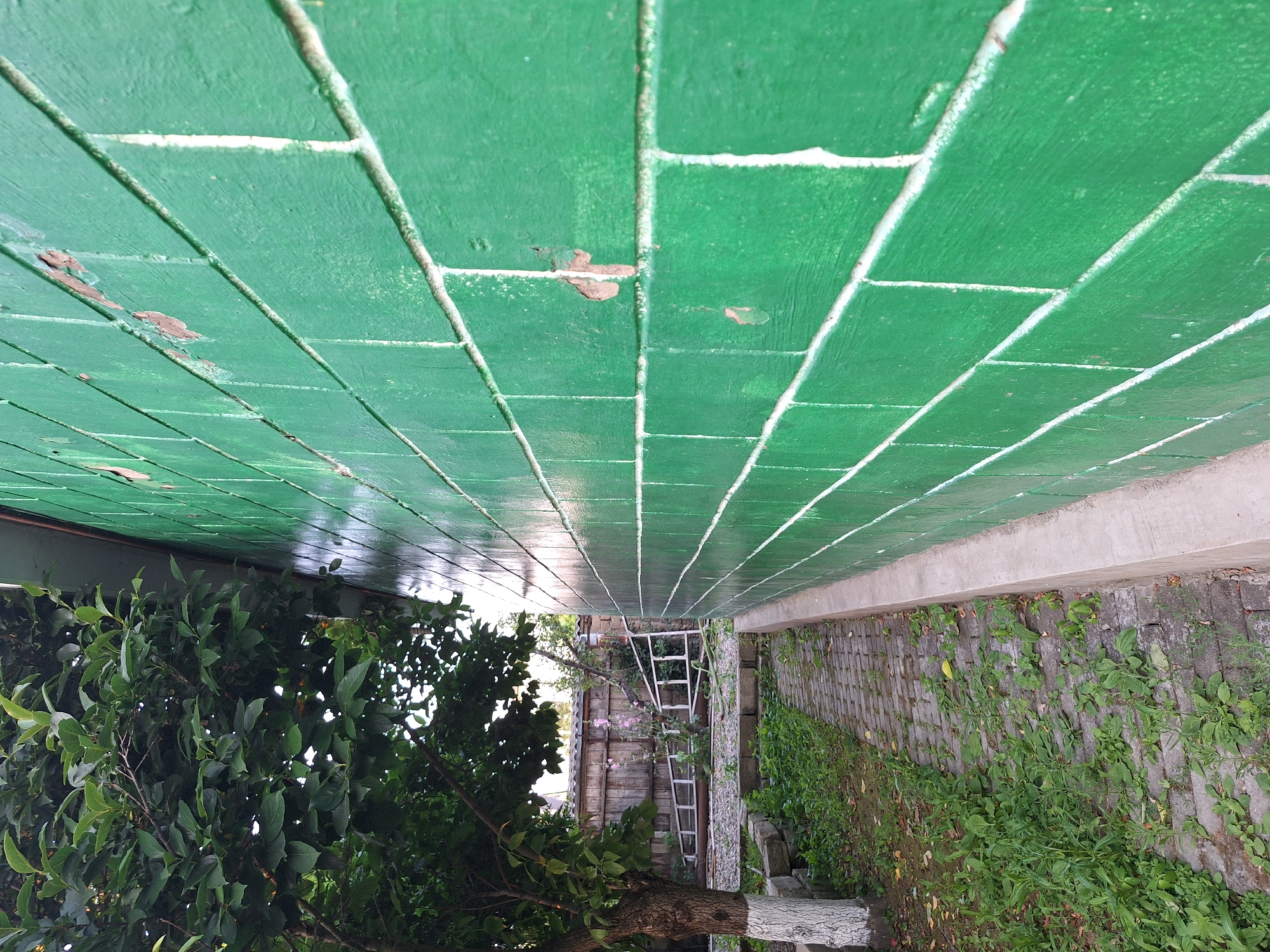 The image depicts an outdoor scene with a prominent green brick wall that dominates the right side of the frame. The wall shows signs of wear, with some areas of peeling paint revealing a reddish-brown subsurface. To the left of the wall is a narrow brick pathway bordered by overgrown green grass and weeds. A tree with a white-painted trunk stands on the left side of the pathway. In the background, a wooden fence is visible, along with some plants and a white ladder leaning against it. The overall setting suggests a slightly neglected outdoor area, possibly a backyard or side yard in a residential or industrial area of Nabran, Azerbaijan. No people are present in the image.