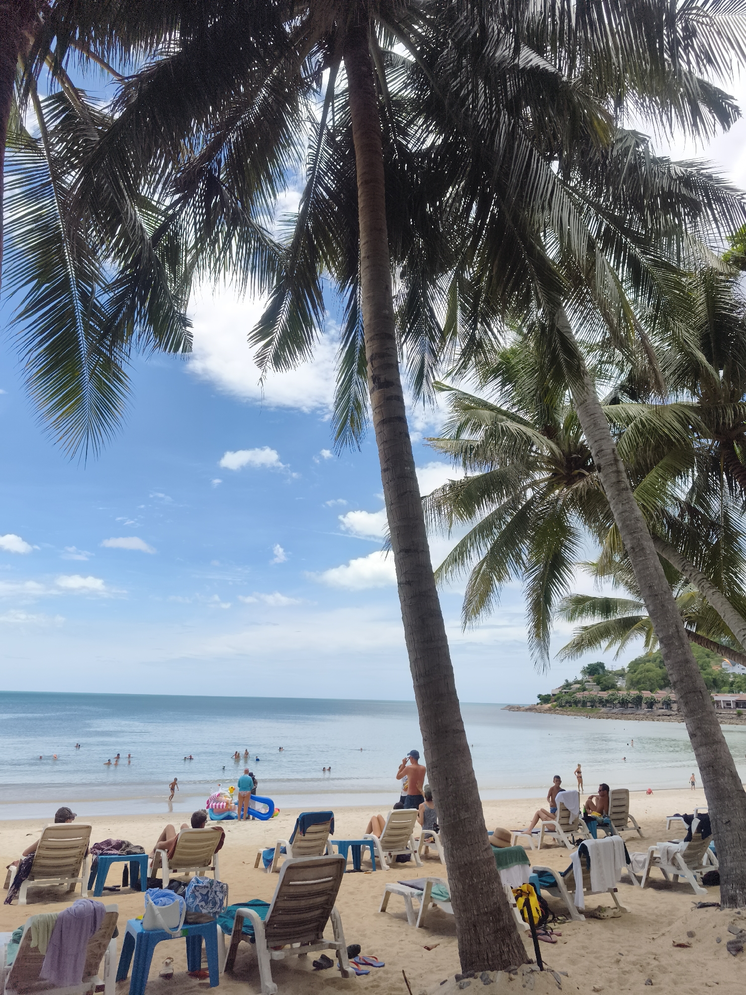 The image depicts a beach scene in the Ko Samui District of Thailand. Palm trees with thick trunks and fronds dominate the foreground, casting shadows on the sandy beach. Several beach chairs, some with people sitting in them, are arranged on the sand. The ocean is visible in the background, with calm water and several individuals swimming or wading. A few inflatable toys are also present on the beach near the water's edge. The sky is blue with scattered white clouds. The overall impression is a relaxed and tropical vacation setting.