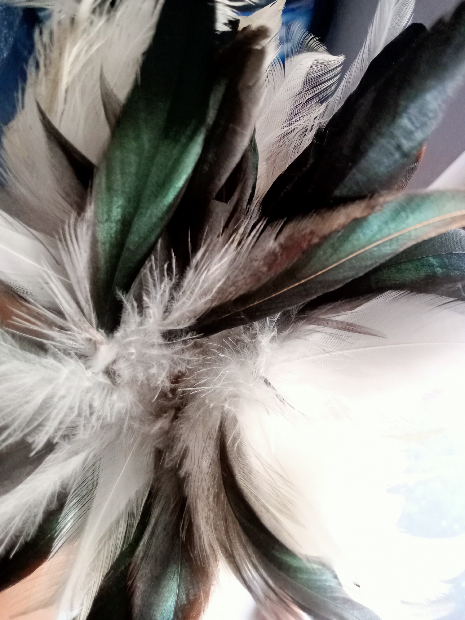 The image shows a close-up, overhead view of a collection of feathers. The feathers are predominantly white, black, and iridescent green, with some brown and grey tones also present. The texture of the feathers varies, from soft and downy at the base to sleek and structured at the tips. The lighting is bright, creating highlights and shadows that emphasize the different textures and colors. The background is out of focus and appears to be a light, neutral color. There is no discernible indication of the city of Simo, Indonesia, or any specific urban or natural environment.