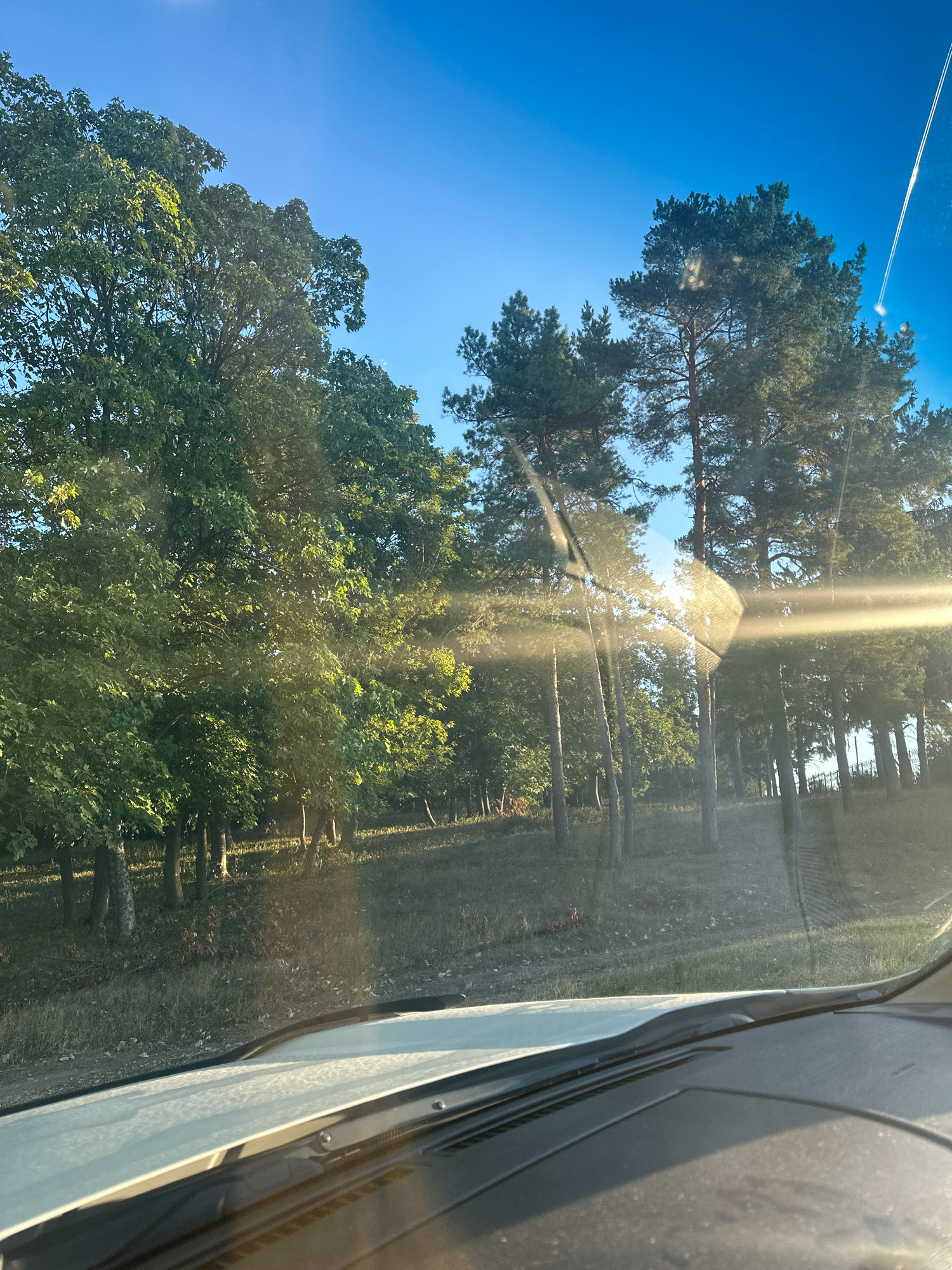 The image depicts a view from inside a vehicle, looking out through the windshield at a sun-drenched forest. Sunlight streams through the trees, creating lens flares and highlights on the glass. The sky is a clear, bright blue with a faint airplane contrail visible in the upper right corner. The foreground shows the dashboard and windshield of the vehicle. The environment appears to be a natural, wooded area with tall trees and undergrowth. The overall impression is one of a bright, sunny day in a rural or natural setting. The location is specified as Makiv, Ukraine.