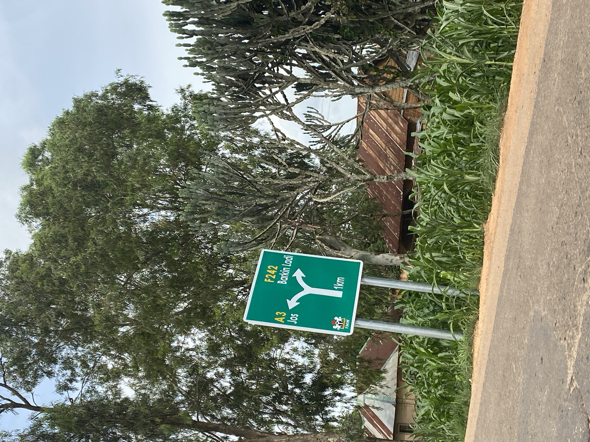 The image captures a directional road sign in Kuru, Nigeria, situated amidst a lush green environment. The sign, a bright green rectangle, is mounted on two metal poles. It directs traffic towards "A3 Jos" with an arrow pointing left and "F242 Barkin Ladi" with an arrow pointing right. Below these destinations, "1km" is indicated, suggesting a short distance to both. A small emblem, possibly a coat of arms or seal, is visible on the lower left side of the sign.
Surrounding the sign are tall trees with dense foliage, and to the right, a cluster of tall, cactus-like plants. In the background, several buildings with rusty, corrugated iron roofs are partially visible, nestled behind a vibrant field of tall green corn stalks. The road in the foreground is asphalt, with a dirt shoulder. The sky above is overcast. The scene suggests a rural or semi-rural setting on the outskirts of a town, likely Kuru, given the context.