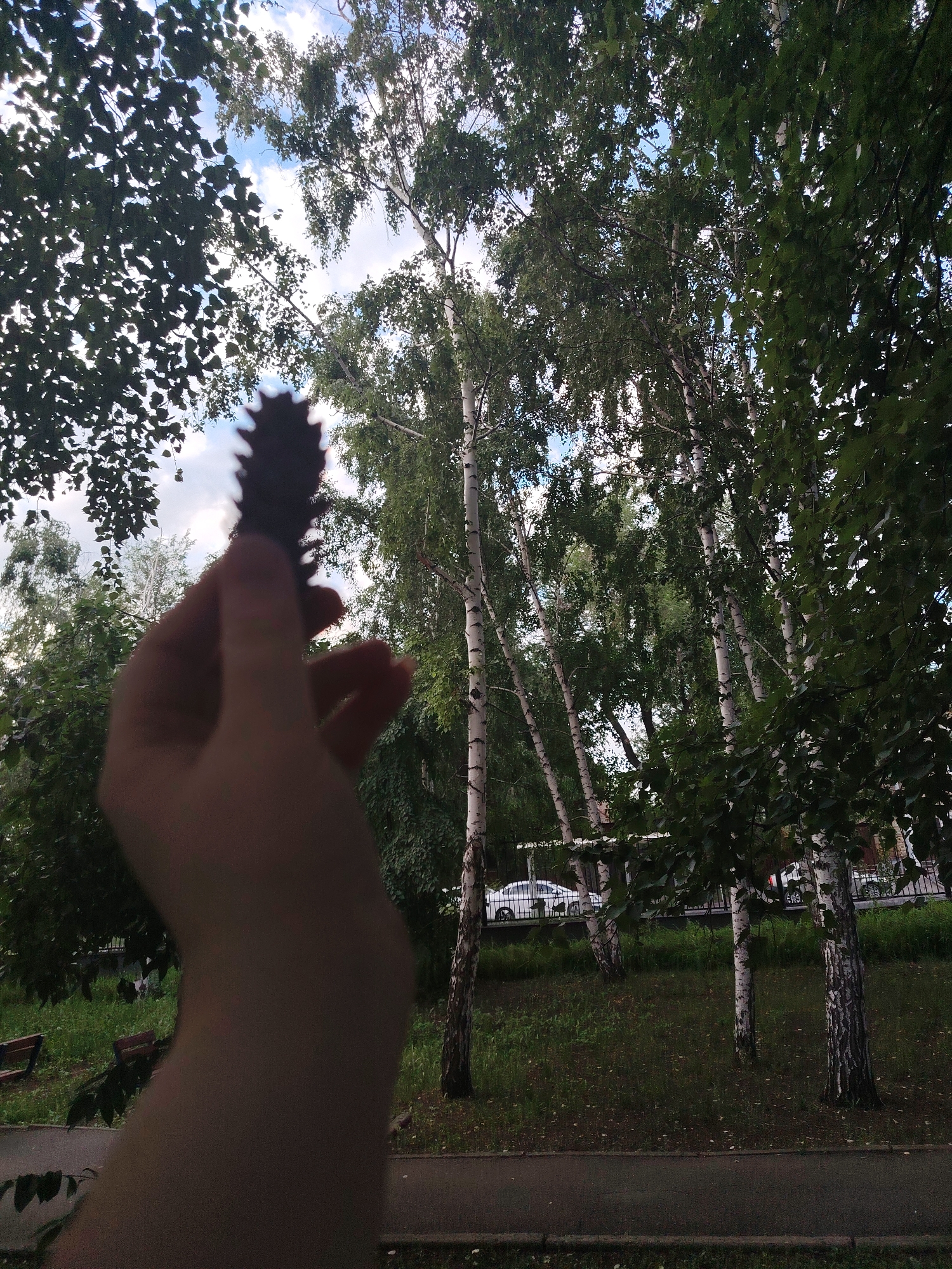 Memory
