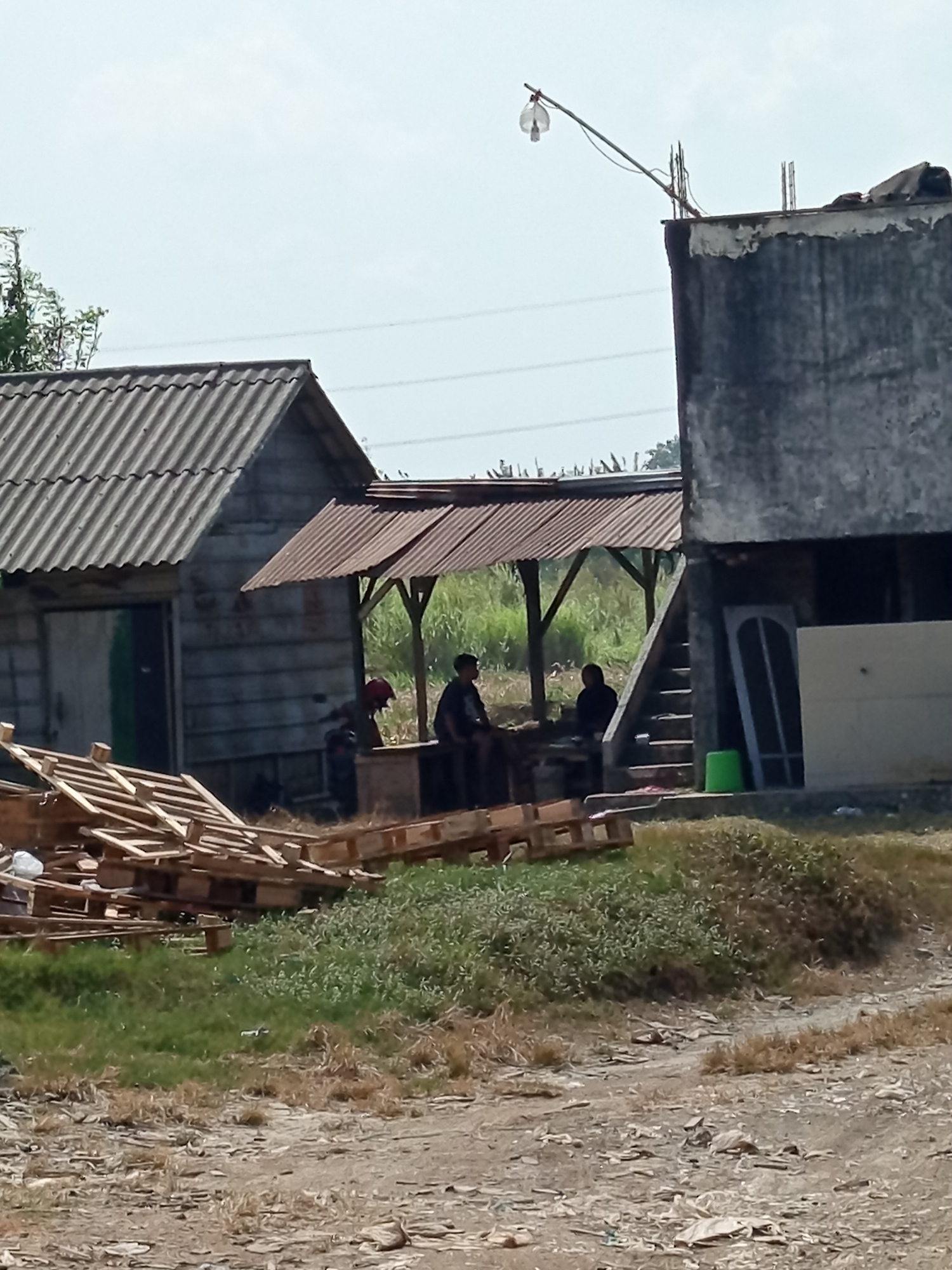 In Sidomulyo, Indonesia, a group of three individuals is gathered under a makeshift canopy constructed with a corrugated metal roof supported by wooden posts. To the left of the canopy, a single-story building with a corrugated metal roof and wooden walls is visible. In the foreground, a large stack of wooden pallets is piled on the ground. To the right of the canopy, a multi-story concrete structure with an outdoor staircase is present. A green bucket is placed at the base of the staircase. The environment appears to be a rural or semi-industrial area, with overgrown grass and debris on the ground. The sky is clear and overcast.