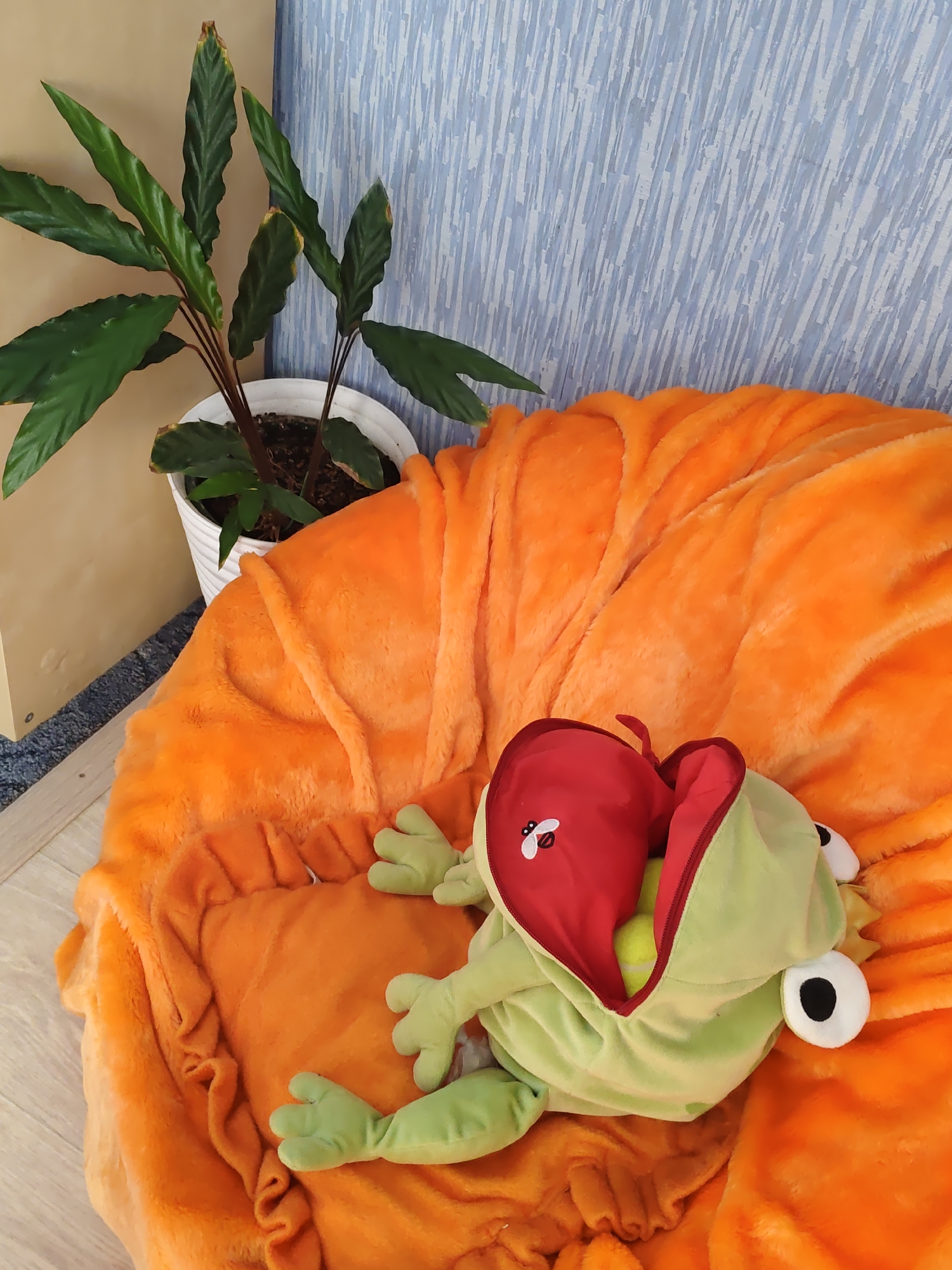 A light green plush toy resembling a frog is lying on an orange beanbag chair. The frog's mouth is open, revealing two yellow tennis balls inside. The beanbag chair is positioned on a wooden floor next to a potted plant with dark green leaves. The background consists of a textured blue wall. The scene is indoors, with no specific identifying features to place it in Rostov-on-Don, Russia.
