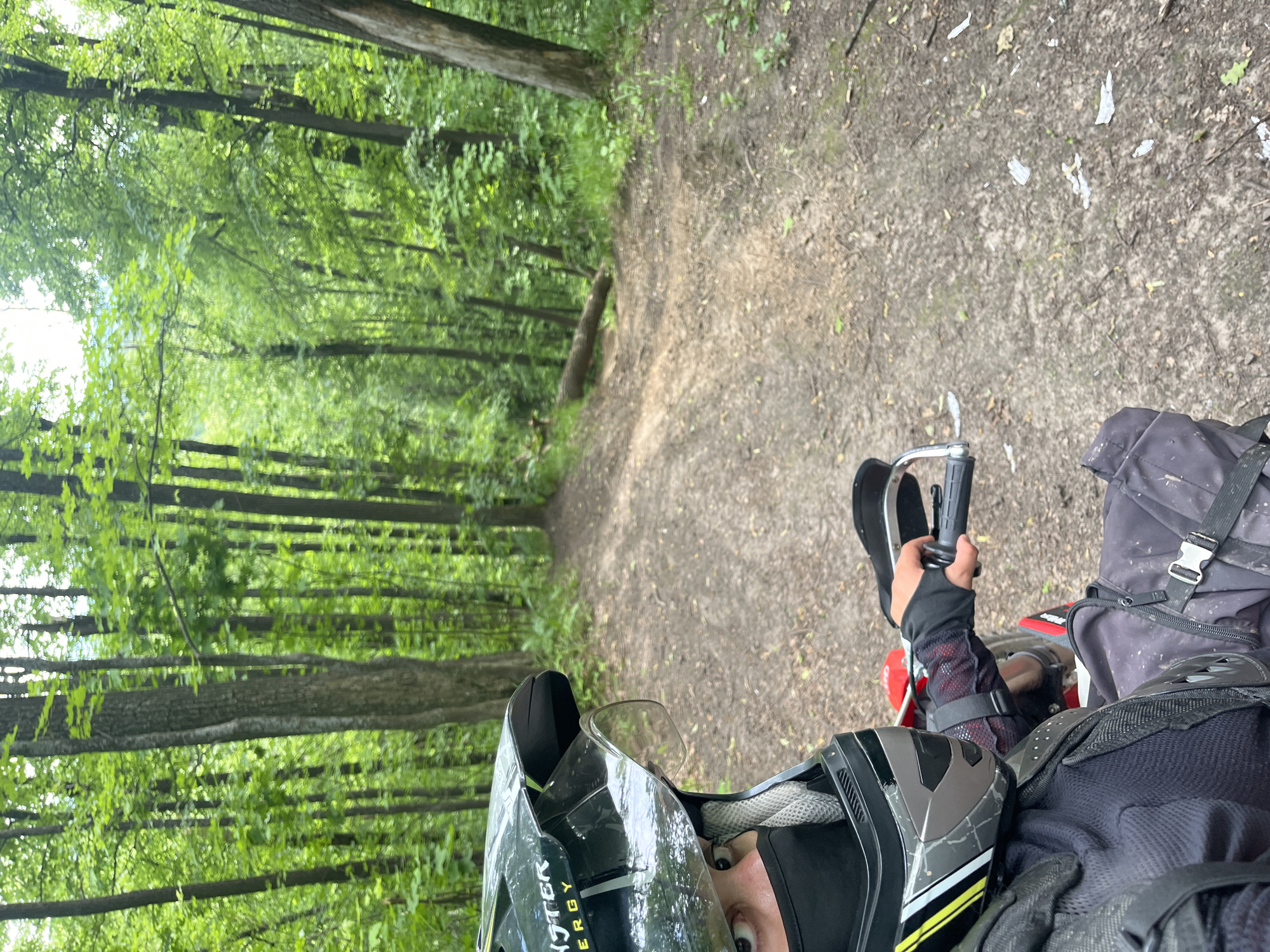 A first-person perspective shot captures a motorcyclist wearing a helmet, face mask, and protective gear, seated on a red dirt bike in a forest. The helmet is black with yellow and white accents and a clear visor. The motorcyclist's eyes are visible through the visor, looking forward. The terrain is a dirt path winding through a dense forest with tall trees and green foliage. A fallen log lies across the path in the background. The lighting suggests an overcast or shaded day. The location is identified as a forest in Vasilyevo, Russia.