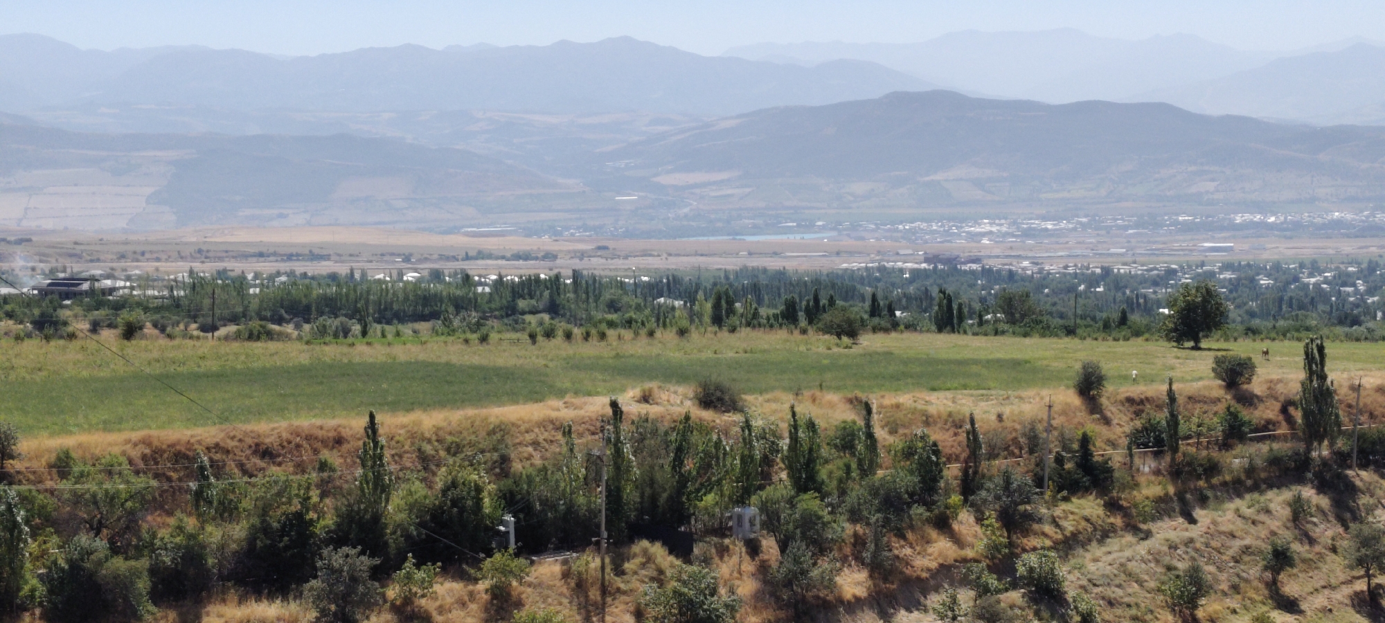 This is a wide, elevated shot overlooking a landscape that includes a rural settlement in Aktash, Uzbekistan, nestled between agricultural fields and distant mountains. The foreground is a hillside covered with dry grass, scattered trees, and shrubbery. A winding path or road is visible along the hillside. Mid-ground displays agricultural fields, some green and some dry, with a line of tall, slender trees separating them. Beyond the fields, a cluster of buildings, characteristic of a village or small town, is visible, with rooftops appearing white and light-colored. The settlement is densely populated with trees interspersed throughout. In the far distance, a hazy panorama of rolling mountains stretches across the horizon, their peaks softened by atmospheric conditions. The sky is clear and pale blue. There are no discernible individuals or animals in the frame.