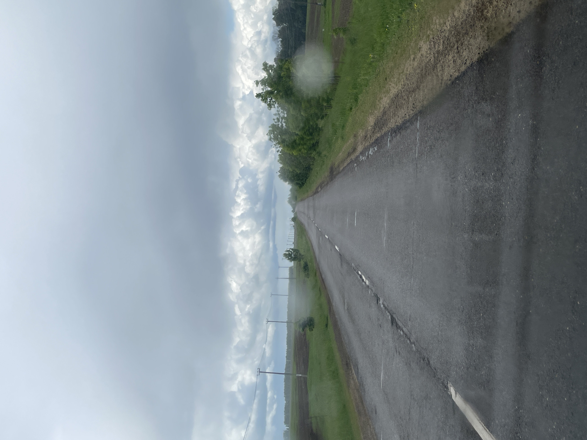 The image depicts a long, straight asphalt road stretching into the distance in Петрово, Russia. To the right of the road is a grassy verge transitioning into agricultural land. To the left of the road, there is a parallel line of utility poles against a backdrop of storm clouds. The sky is overcast, and the road surface appears wet. No people are visible.
