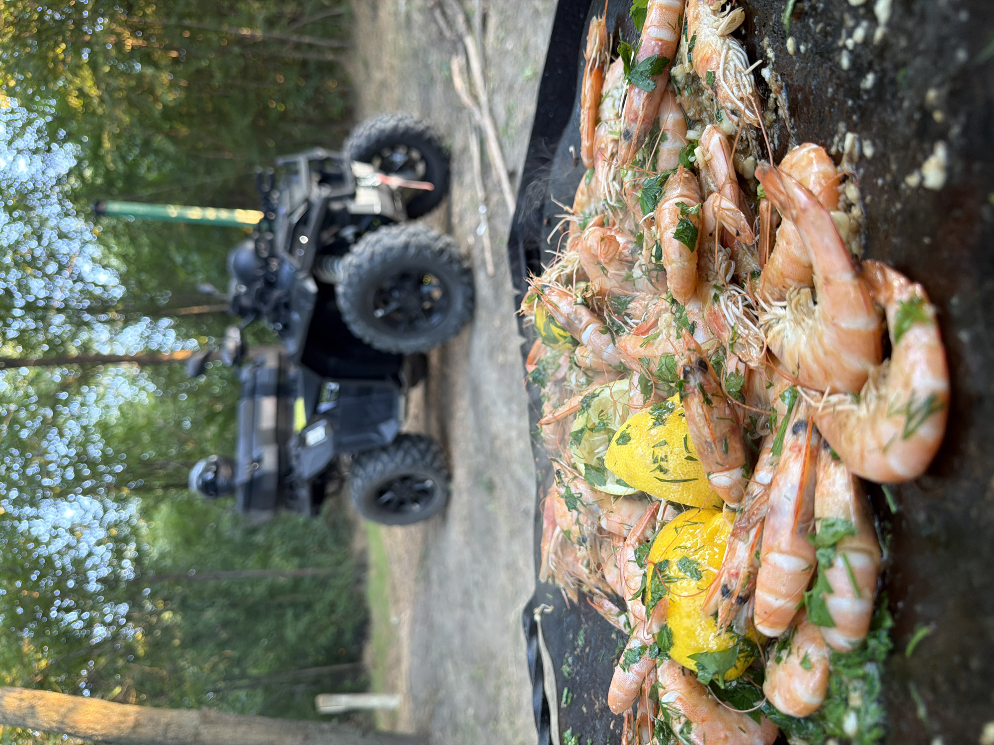 An overhead, close-up shot focuses on a large quantity of cooked shrimp and lemon wedges arranged on a dark, flat cooking surface, possibly a griddle or grill pan. The shrimp are a vibrant orange-pink color, some with their tails still attached, and are garnished with chopped green herbs, likely parsley or dill. Two bright yellow lemon wedges are prominently placed among the shrimp, one in focus and another slightly blurred. The background is out of focus, showing a wooded area with dappled sunlight filtering through the leaves. A black ATV (All-Terrain Vehicle) is visible in the mid-ground, parked on a dirt or gravel surface. The ATV has large, knobby tires and a storage rack on the back. The overall impression is an outdoor meal preparation setting, likely in a rural or recreational area. While the prompt mentions Vatra, Moldova, there are no specific visual indicators within the image to confirm this location.