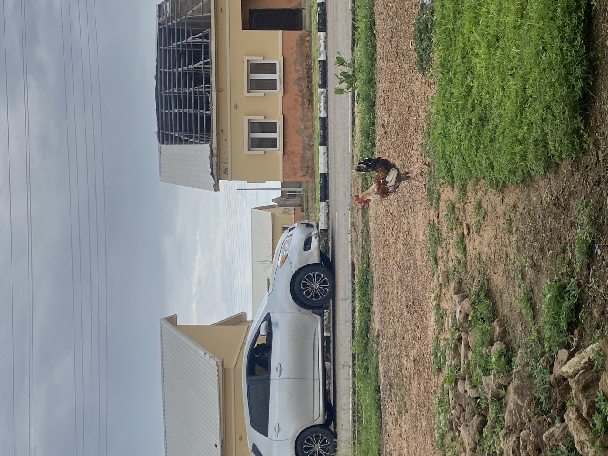 The image depicts an outdoor scene in Bulamare, Nigeria, under an overcast sky, suggesting it's either early morning or late afternoon. The setting appears to be a residential area under development. In the foreground, two roosters are pecking at the ground near a patch of lush green vegetation and a dirt path. To the left, a white SUV is parked on a paved road marked with black and white curbs. Beyond the road, a two-story building with a light yellow facade is visible, featuring white-framed windows and what appears to be exposed structural elements on the upper level, indicating ongoing construction. Further in the background, more buildings and utility poles with numerous wires are scattered across the landscape. The overall impression is one of a developing neighborhood in Nigeria, with signs of both residential activity and ongoing construction.