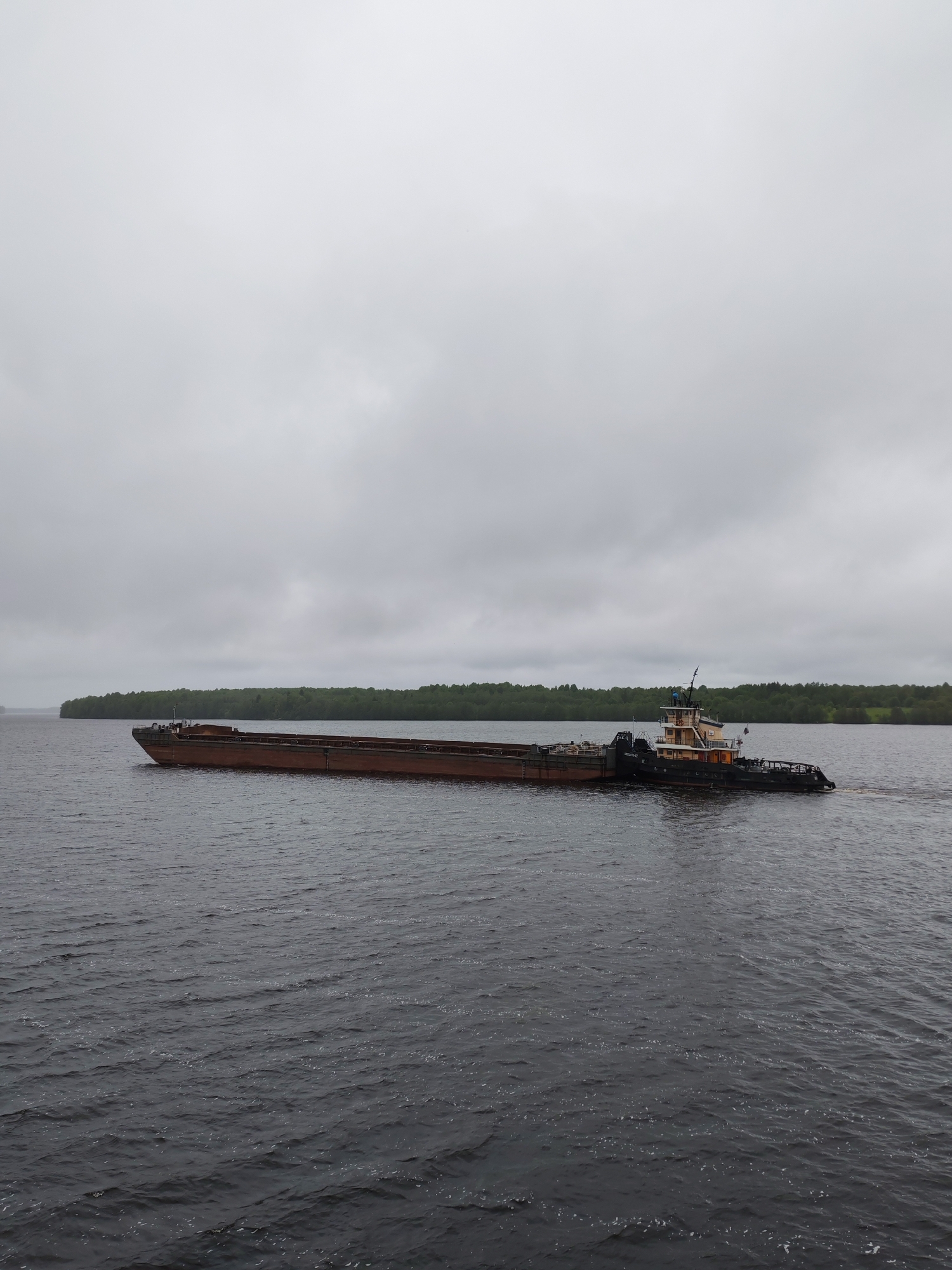 The image shows a tugboat pushing a barge on a body of water. The barge is long and low, likely carrying cargo. The tugboat is located at the stern of the barge, its structure indicating it's built for pushing rather than towing. The water is dark and choppy, suggesting a windy day or strong currents. In the background, a line of trees is visible along the shore. The sky is overcast with gray clouds. There is no evidence to suggest that the image was taken in the city of Раменье, Russia.