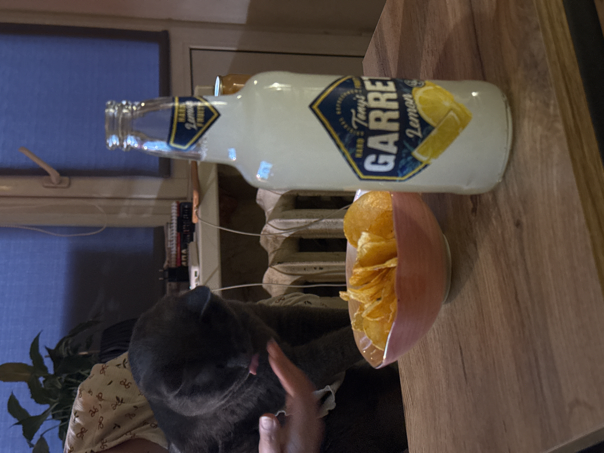 The image shows a domestic interior, possibly in Votkinsk, Russia (inferred from the question). A partially visible grey cat is being petted by a hand. A bowl of potato chips is present. A bottle of "Garre Lemon" beverage sits on a wooden surface. A window with blinds is in the background. A radiator is also partially visible.