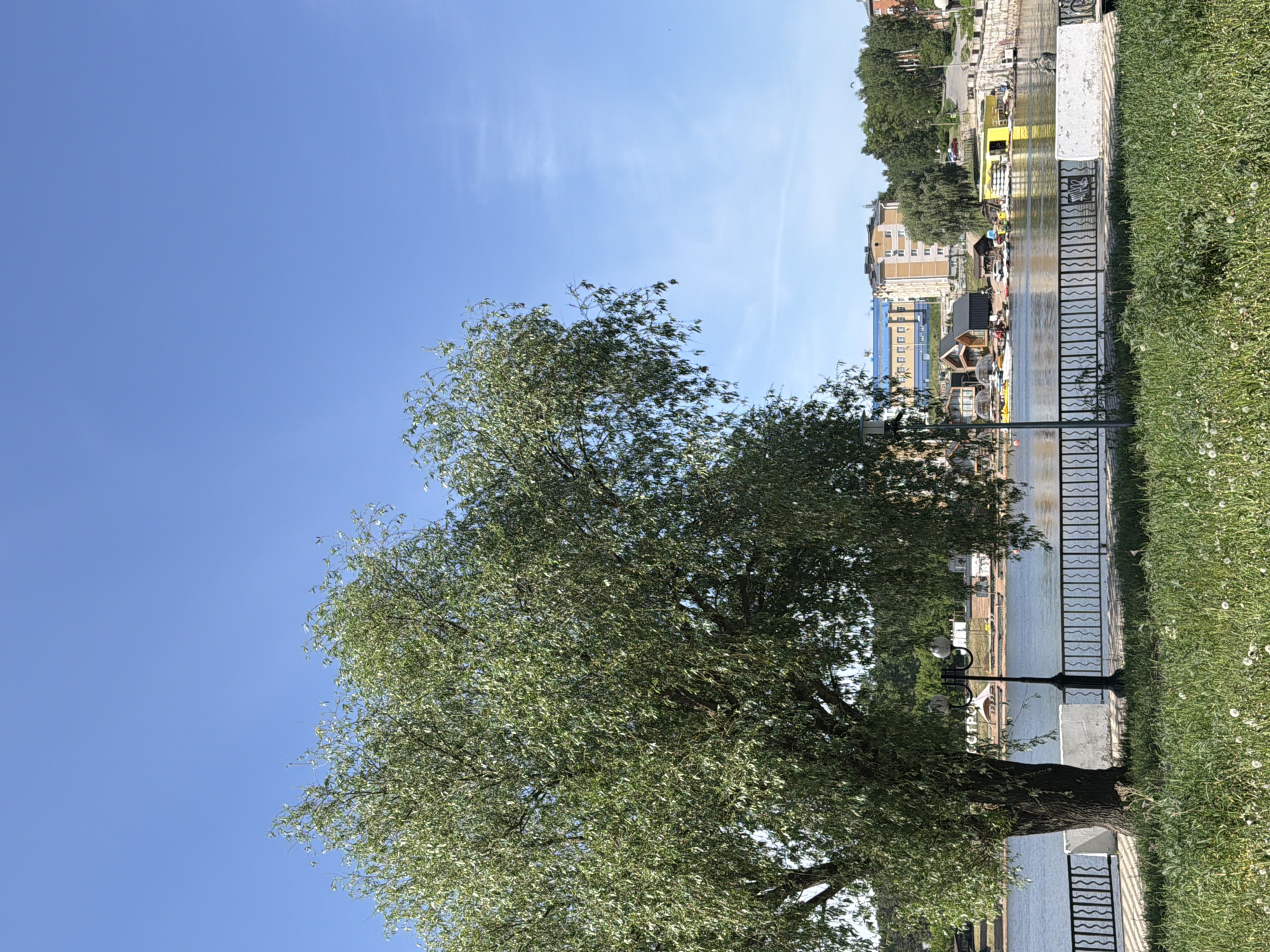 The image depicts a park scene in Votkinsk, Russia, under a clear blue sky. A large, leafy tree dominates the left side of the frame. To the right of the tree is a grassy area along a waterfront. A metal railing separates the grass from the water. On the other side of the water are buildings and structures, including what appears to be a dock or floating platform with people on it. A lamppost is visible near the tree and railing.
