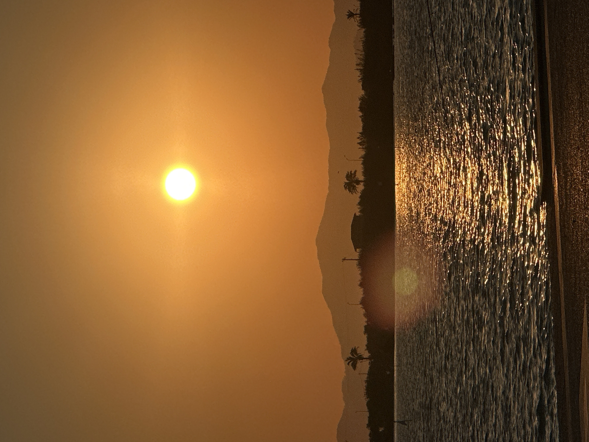 The image depicts a serene sunset over a body of water, likely a bay or lagoon, in Fethiye, Turkey. The sun, a bright, luminous orb, is positioned in the upper center of the frame, casting a warm, golden glow across the sky and water. The sky is a gradient of warm oranges and yellows, with the color becoming more muted towards the top.
In the middle ground, a silhouetted landmass stretches across the horizon, featuring rolling hills or mountains in the background and a darker, more detailed foreground. This foreground land strip appears to be covered in vegetation, with the distinct shapes of palm trees and what might be reeds or other plants visible. A small, dark structure, possibly a building, is nestled within this landscape. A few lampposts are also visible along the shoreline.
The foreground is dominated by the water, which reflects the vibrant colors of the sunset. The surface of the water is gently rippled, creating a shimmering effect as sunlight dances upon it. The colors on the water range from deep blues and grays to bright oranges and golds where the sun's reflection is most intense. Along the very bottom edge of the image, a strip of what appears to be a sandy or paved embankment is visible. The overall atmosphere is one of tranquility and natural beauty, characteristic of coastal scenery at dusk.