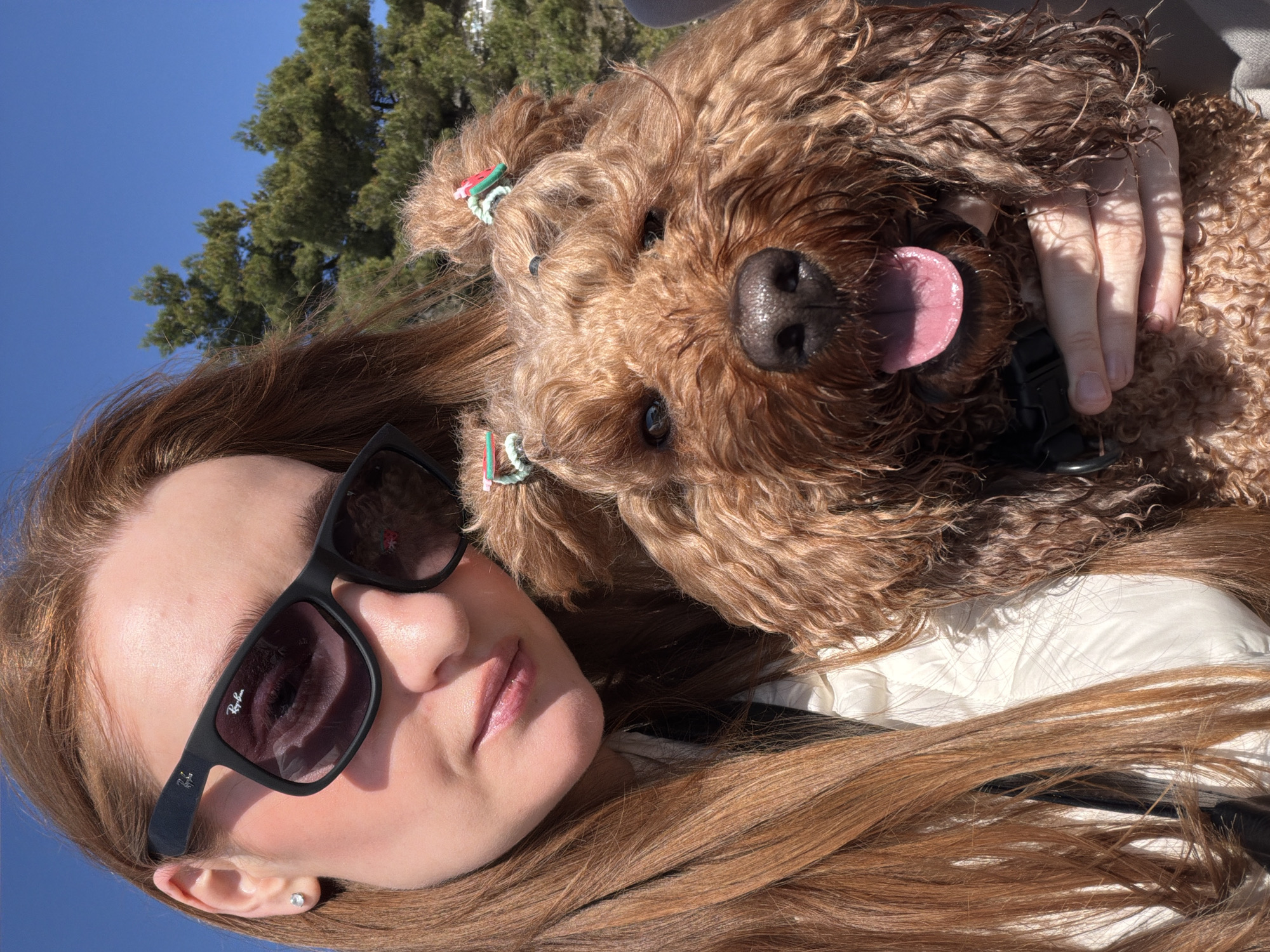 A woman with long, red-brown hair and wearing sunglasses poses for a close-up selfie with a brown poodle. The dog has two pigtails tied with green and white bands and is panting with its tongue out. The woman is wearing a white jacket, and part of the blue sky and a tree are visible in the background. The location is Sveti Stefan, Montenegro, based on the background.
