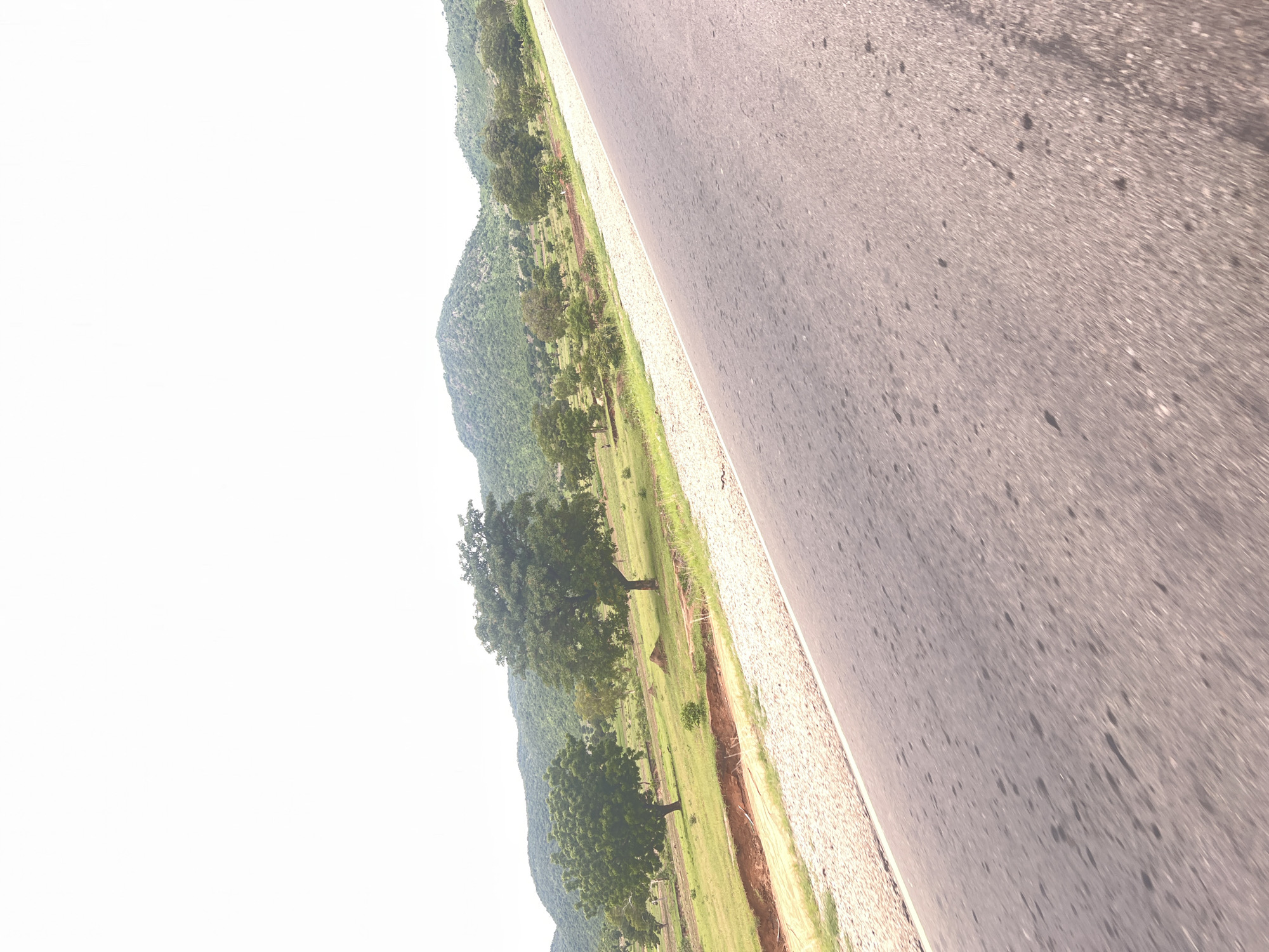 This media file depicts a scenic view from the side of a paved road, likely in Minda, Nigeria. The image is oriented sideways, with the road running diagonally from the upper right to the lower left. The road surface is asphalt, appearing somewhat worn with scattered dark spots, suggesting it is an outdoor, rural setting. To the left of the road is a gravel shoulder, followed by a strip of green grass.
Beyond the grass, the landscape transitions to a gentle, tree-covered hillside and then to more rugged, green mountains in the background. Several mature trees with full canopies are scattered across the grassy area. The sky is bright and overcast, indicating it could be daytime with diffused sunlight. There are no people or vehicles visible in the frame, suggesting a peaceful and uncrowded environment. The overall impression is one of natural beauty and tranquility, potentially experienced during a road trip or a quiet moment observing the surroundings. The lack of specific landmarks makes it difficult to pinpoint an exact location within Minda, but the vegetation and terrain are consistent with a tropical or sub-tropical rural environment.