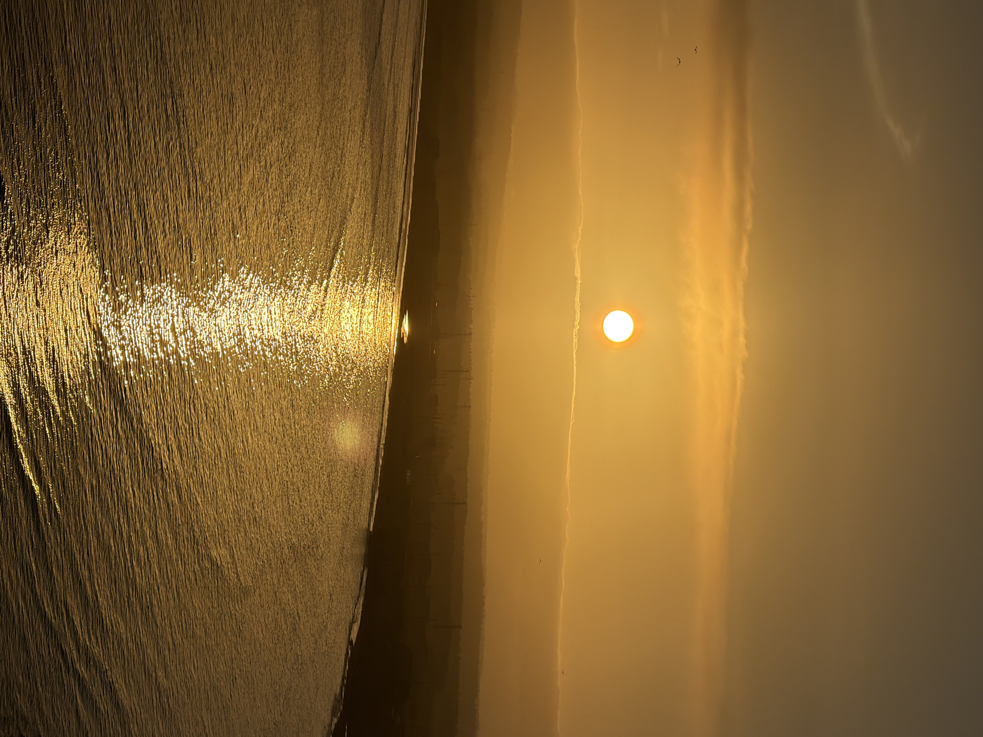 The image depicts a serene sunset over the ocean, likely in Yuzhno-Kurilsk, Russia, given the context. The sun, a bright, round orb, is positioned in the upper center of the frame, casting a warm, golden glow across the entire scene. Wispy clouds are scattered in the sky, some tinged with the sunset's hues.
Below the sky, a misty, silhouetted landscape stretches horizontally, suggesting hills or distant landforms. Faint structures, possibly buildings or power lines, are visible against the darkening terrain. The foreground is dominated by the ocean, its surface rippled by gentle waves. The setting sun creates a shimmering reflection on the water, forming a dazzling path of light that leads towards the viewer. A few distant birds can be seen flying in the sky, adding a sense of life to the tranquil environment. The overall impression is one of peacefulness and natural beauty at the end of the day.