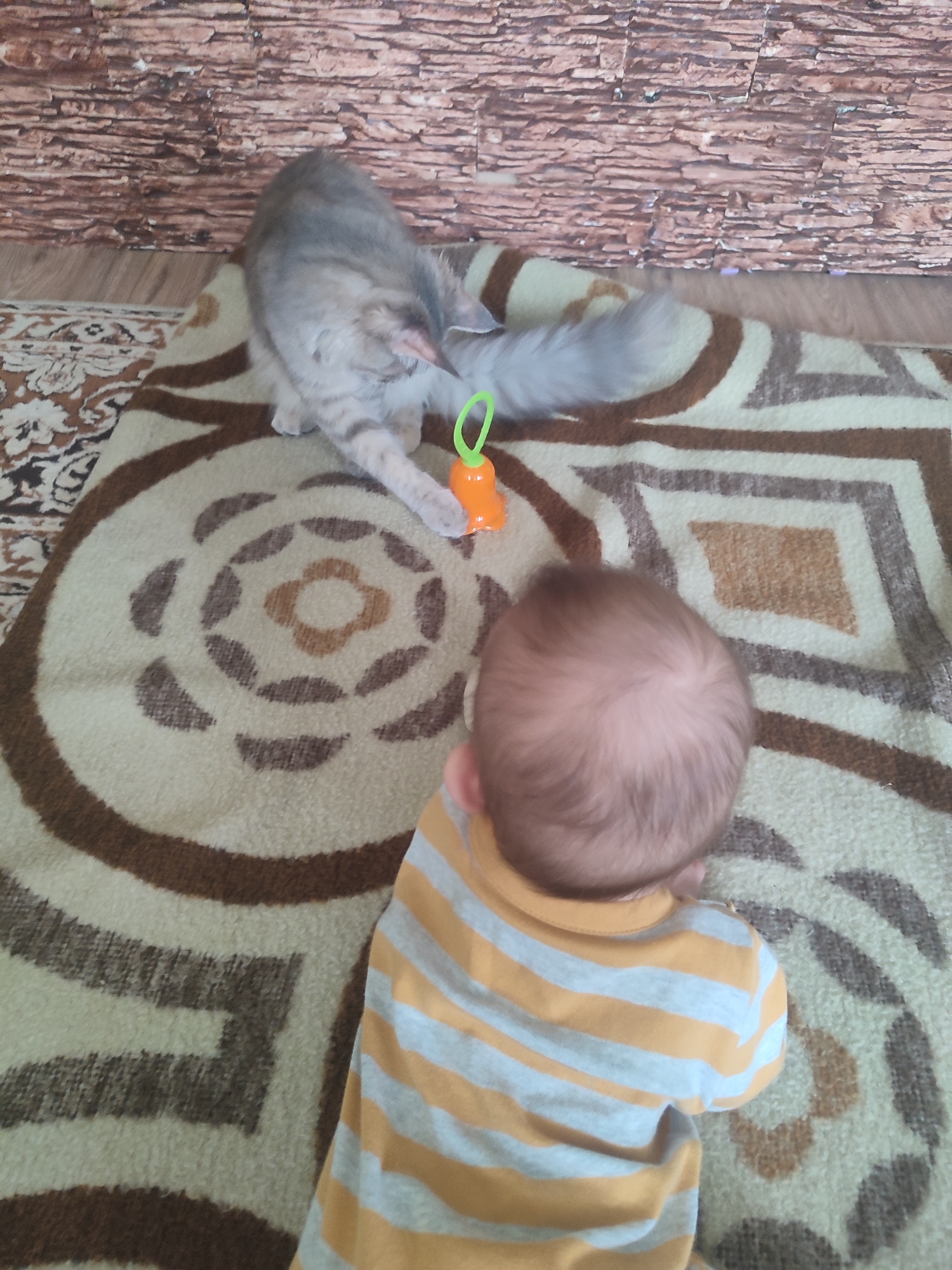 A gray cat is playing with an orange toy on a rug with a circular pattern. A baby in a yellow and white striped shirt is lying on the rug, looking towards the cat. The background includes a wall with a brick-like pattern and a small portion of a different rug with a floral design. The location is Sarapul, Russia.