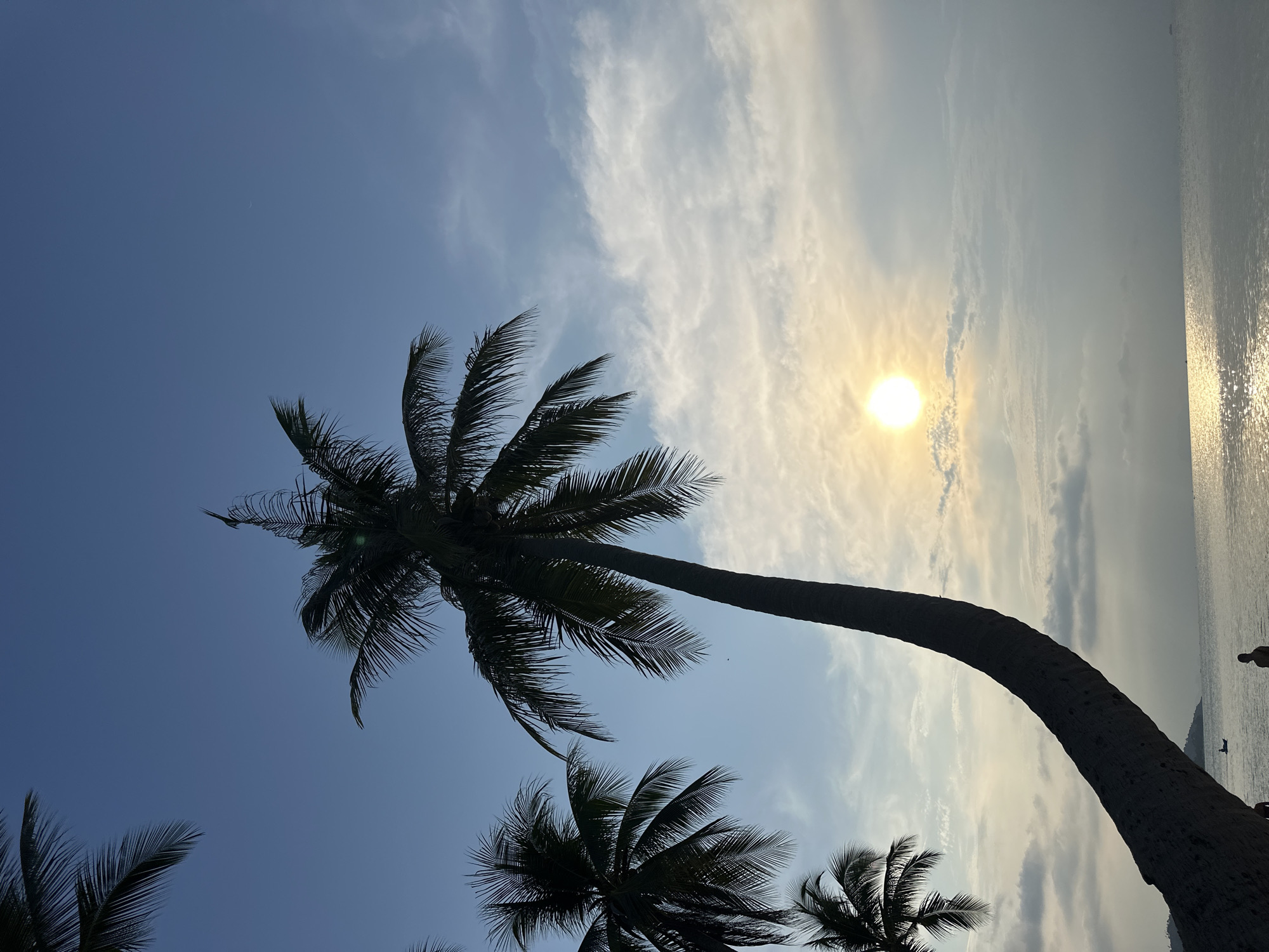 The image, taken in Baan Tai, Thailand, depicts a tropical coastal landscape at either sunrise or sunset, viewed from a low angle looking upwards. The sky features a gradient from a deep blue on the left to a brighter, hazy golden-yellow towards the right. A brilliant, circular sun, emitting a strong golden light, is positioned low in the sky on the right side of the frame. Its intense light creates a shimmering reflection path across the water to its right. Scattered, wispy white clouds are visible across the sky, particularly in the upper-right area. A faint, crescent moon is discernible in the deep blue part of the sky towards the left.
Several palm trees are silhouetted against the sky. A large, curved palm tree dominates the central and right portions of the foreground, its trunk bending gracefully from the bottom center upwards towards the sun. Its fronds are seen at the bottom and upper sections of its trunk. Additional palm trees with fanning fronds are silhouetted in the bottom-left and bottom-right corners.
The sea stretches across the right side of the image, appearing calm with glittering reflections of the sun. In the hazy distance across the water, a subtle outline of a coastline or landmass is visible. There are faint, dark silhouettes of what appears to be a person standing in the water near the distant shore and a smaller object, possibly a boat, further out in the sea. The overall mood is serene and idyllic. No visible text is present in the image.