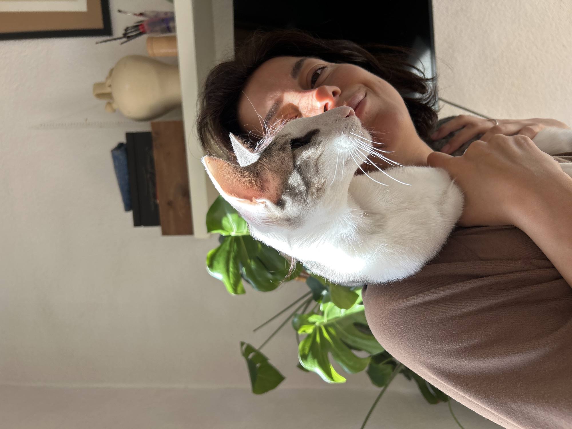The image, taken in Barcelona, Spain, captures a tender moment between a woman and her cat from a low-angle perspective. The photo is rotated clockwise, giving an unusual orientation.
The primary subjects are a woman and a white cat with light brown or gray patches. The woman, with dark hair, is seen from the chest up, wearing a brown top. She is smiling broadly and looking directly at the camera, with strong sunlight casting prominent shadows across her face, suggesting a bright daytime setting. Her right arm is visible, with a hand gently holding the cat.
The cat, primarily white with some patterned markings on its head and ears, is held close to the woman's shoulder and neck. Its head is tilted upwards, and its prominent white whiskers are clearly visible as it appears to be sniffing or rubbing against the woman's face. The cat's fur is bright, reflecting the direct sunlight.
The background reveals an indoor residential setting. To the left, a white wall features a framed picture and a shelf holding various items, including a light-colored decorative object (possibly pottery or a small sculpture), several books, and art supplies like paintbrushes in containers. A large green plant, identifiable as a Monstera deliciosa, is partially visible, with its glossy leaves catching the sunlight. A dark, rectangular object, possibly a television screen, is seen in the upper right background. The overall mood conveyed is one of warmth, affection, and contentment. There is no visible text in the image.