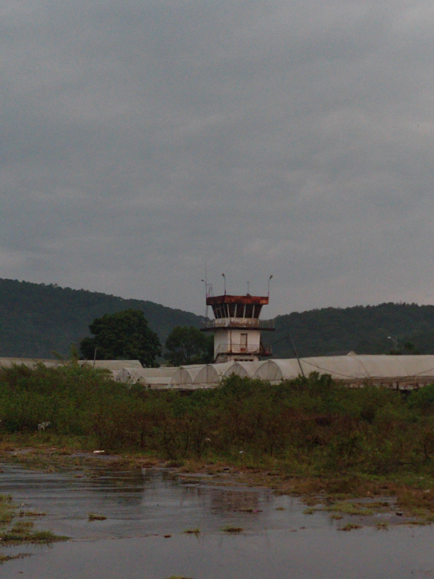 This is a full shot of a control tower set against a mountainous backdrop under an overcast sky, likely in Cam Ly - Da Lat, Vietnam. In the mid-ground, a white control tower with a rusty red top observation deck stands prominently. Two light fixtures or antennae are visible on its roof. Behind the tower, dark green, tree-covered mountains dominate the horizon, suggesting a rural or semi-rural location. Below the mountains and extending horizontally behind the control tower are several long, white, tunnel-shaped structures, which appear to be greenhouses or similar agricultural facilities.
The foreground is characterized by rough, wet ground with patches of standing water, reflecting the gray sky. Sparse, wild green and brown vegetation grows in the muddy areas and clumps around the water. No specific activity is taking place, and no people are visible. The overall atmosphere is muted, suggesting a cloudy day, possibly after rain, which aligns with the wet conditions in the foreground. There is no visible text in the image.