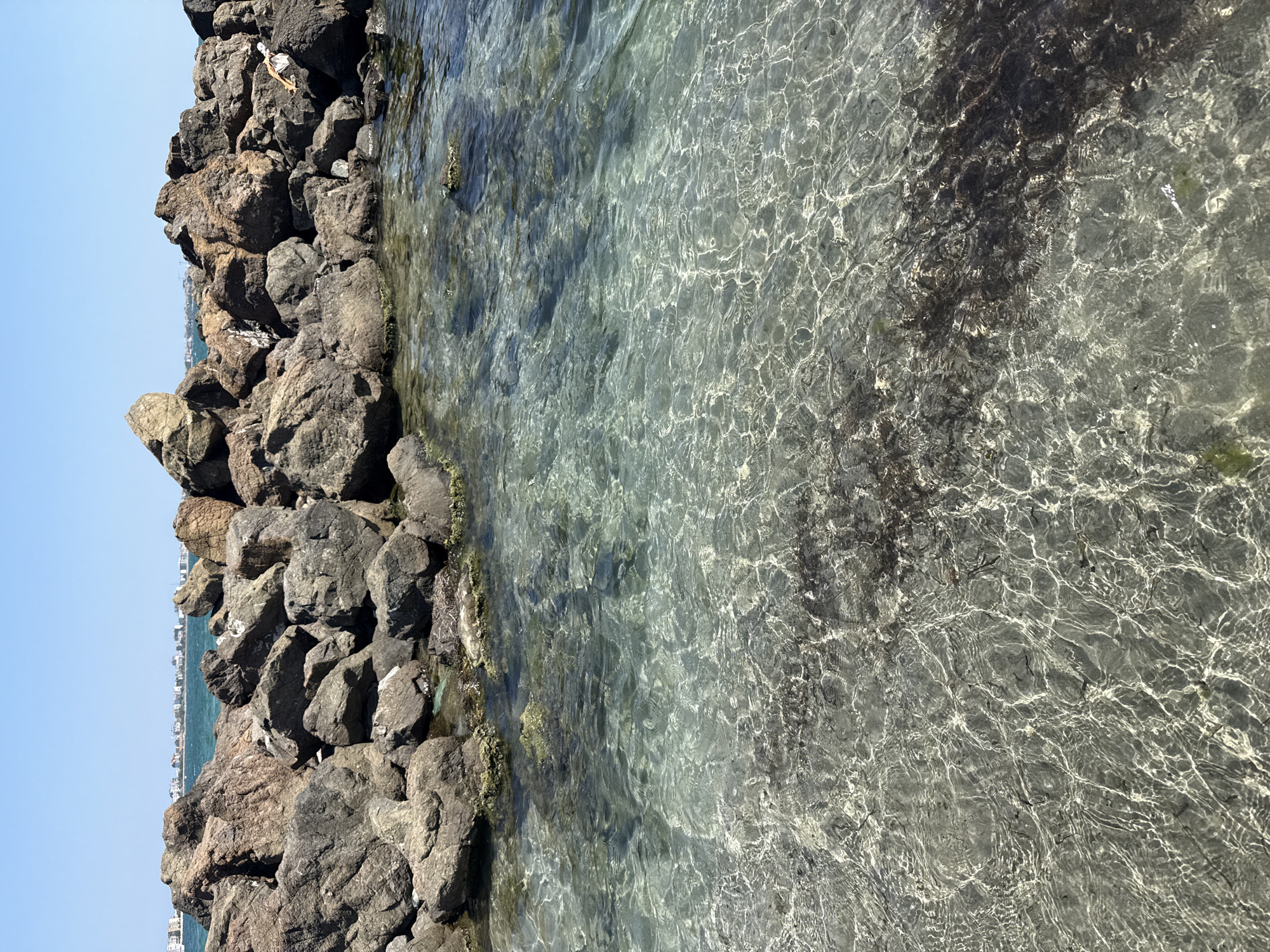 The image captures a view of the Black Sea coast in Pomorie, Bulgaria, specifically near the breakwater. In the foreground, clear turquoise water laps against a rocky shore, with sunlight creating dappled patterns on the sandy seabed beneath. Dark strands of seaweed are visible under the water's surface. In the background, a substantial breakwater made of large, dark, and reddish-brown rocks forms a barrier against the sea. Beyond the breakwater, a line of low-rise buildings, likely part of the city of Pomorie, can be seen along the distant coastline under a clear blue sky. There are no people or animals visible in the frame.