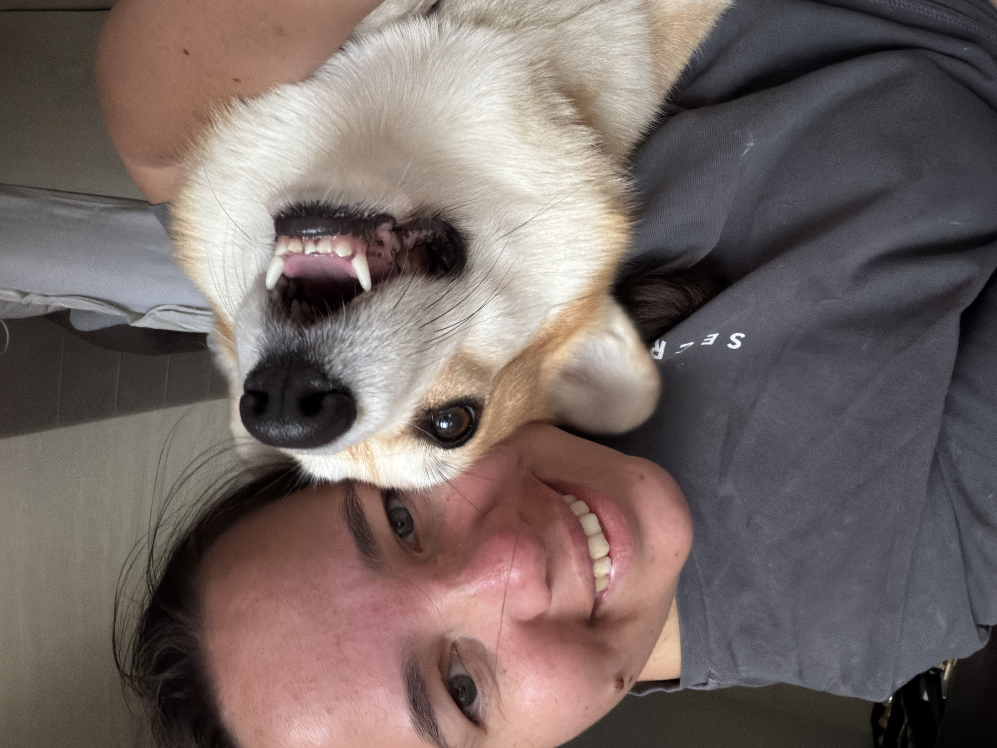 The image is a close-up, selfie-style photograph taken indoors, likely in a bedroom. A woman with dark hair and fair skin is smiling broadly at the camera, her face close to that of a Pembroke Welsh Corgi. The dog is also looking towards the camera with its mouth open, panting, and its tongue is visible. The woman is wearing a dark gray t-shirt with white lettering that partially reads "SE R". The background is blurred but appears to show a bed with light-colored bedding and a wall. There is no indication of the specific location within the city of Chaikovsky, Russia.