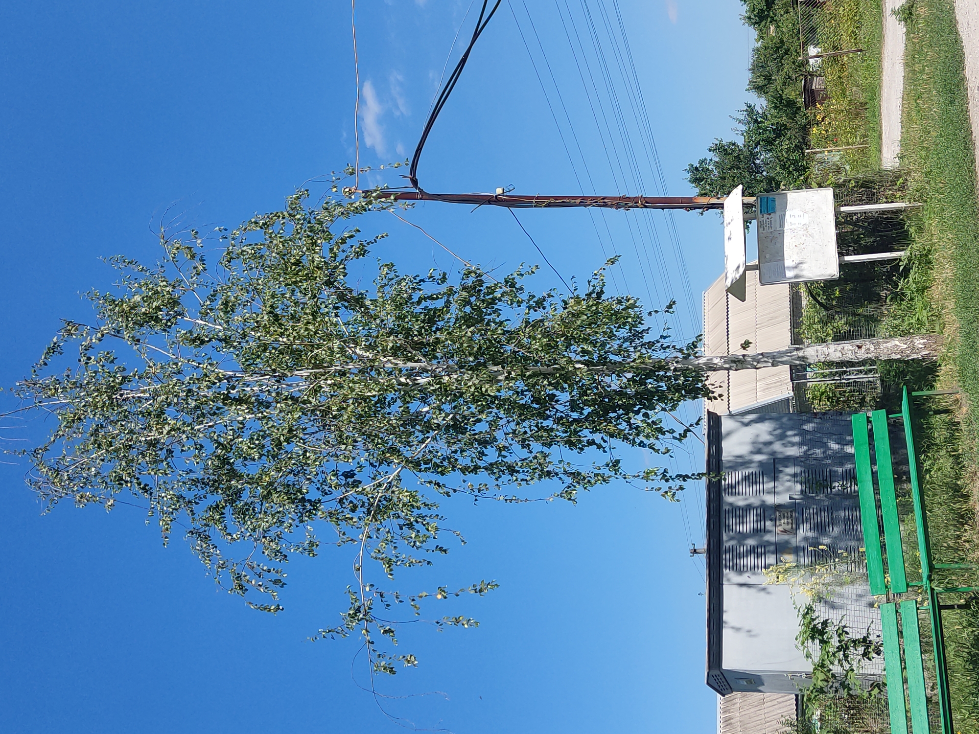 The image depicts an outdoor scene under a clear blue sky with scattered white clouds. In the foreground, a vibrant green park bench sits on a grassy area. To the right of the bench, a tall birch tree with sparse leaves is prominently featured. Behind the bench and tree, several buildings are visible, including a light grey, industrial-looking structure with horizontal ventilation slats on its side. Further back, other buildings with grey, pitched roofs can be seen.
To the right of the birch tree, a wooden utility pole stands with several electrical wires running across the frame. Adjacent to the pole, a white information board on a stand is present, featuring text and some graphical elements. The background consists of lush green vegetation, including trees and bushes, and a wire fence. The overall setting appears to be a somewhat rural or suburban area within the city of Radisne, Ukraine. There are no people visible in the image.