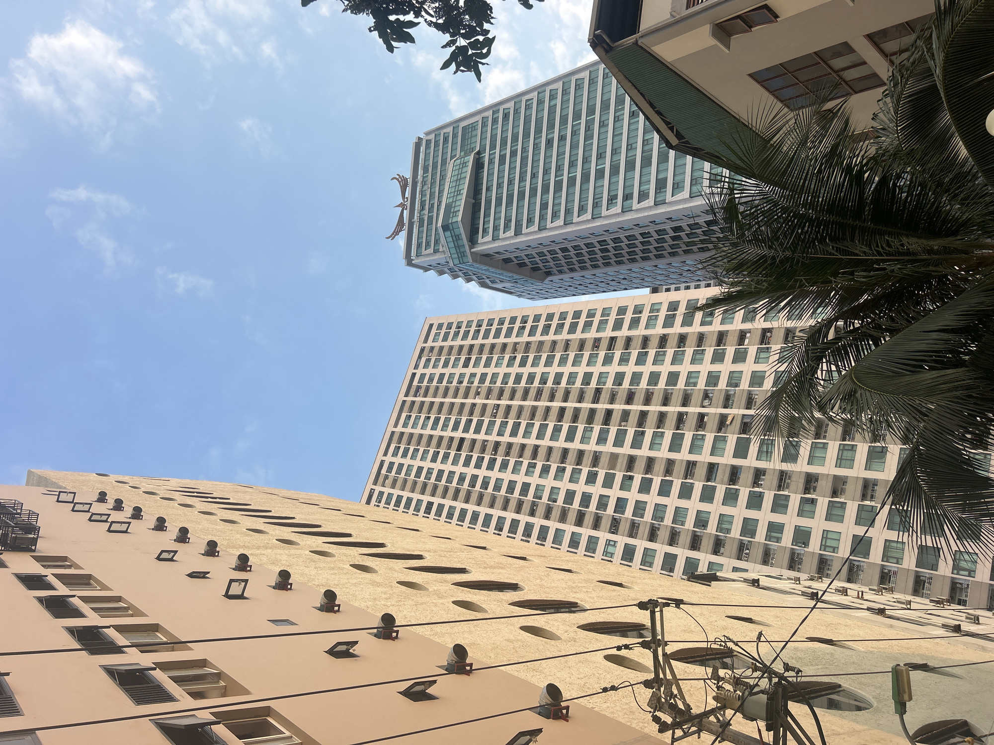This low-angle photograph captures a dynamic view of modern high-rise buildings in an urban setting, likely Bắc Nha Trang, Vietnam, against a bright, clear blue sky with scattered wispy clouds.
The most prominent structure is a tall, contemporary building in the mid-ground, featuring a unique cantilevered section that dramatically extends outwards. This building's facade is composed of numerous rectangular windows, many with a bluish-green tint, set within a lighter framework. A large, ornate golden sculpture, resembling a phoenix or eagle with outstretched wings, is affixed to the side of this distinctive building. Below it, another large, multi-story building, likely an apartment or hotel, showcases a grid pattern of many windows and balconies across its beige exterior.
In the immediate foreground, a third building, appearing in a light sandy-brown or beige hue, rises diagonally from the lower left. Its textured facade is punctuated by numerous circular openings of various sizes and several rows of rectangular windows, some of which are open. Small, cylindrical light fixtures or vents also protrude from its surface. A network of black electrical wires and utility poles occupies the lower foreground, hinting at the bustling infrastructure of the city.
Lush green palm fronds partially frame the scene on the right side, with darker tree leaves visible in the upper left corner, contrasting with the man-made structures. The bright sunlight indicates it is daytime, likely late morning or early afternoon, under clear weather conditions. No specific activities or visible text are discernible in the image.
