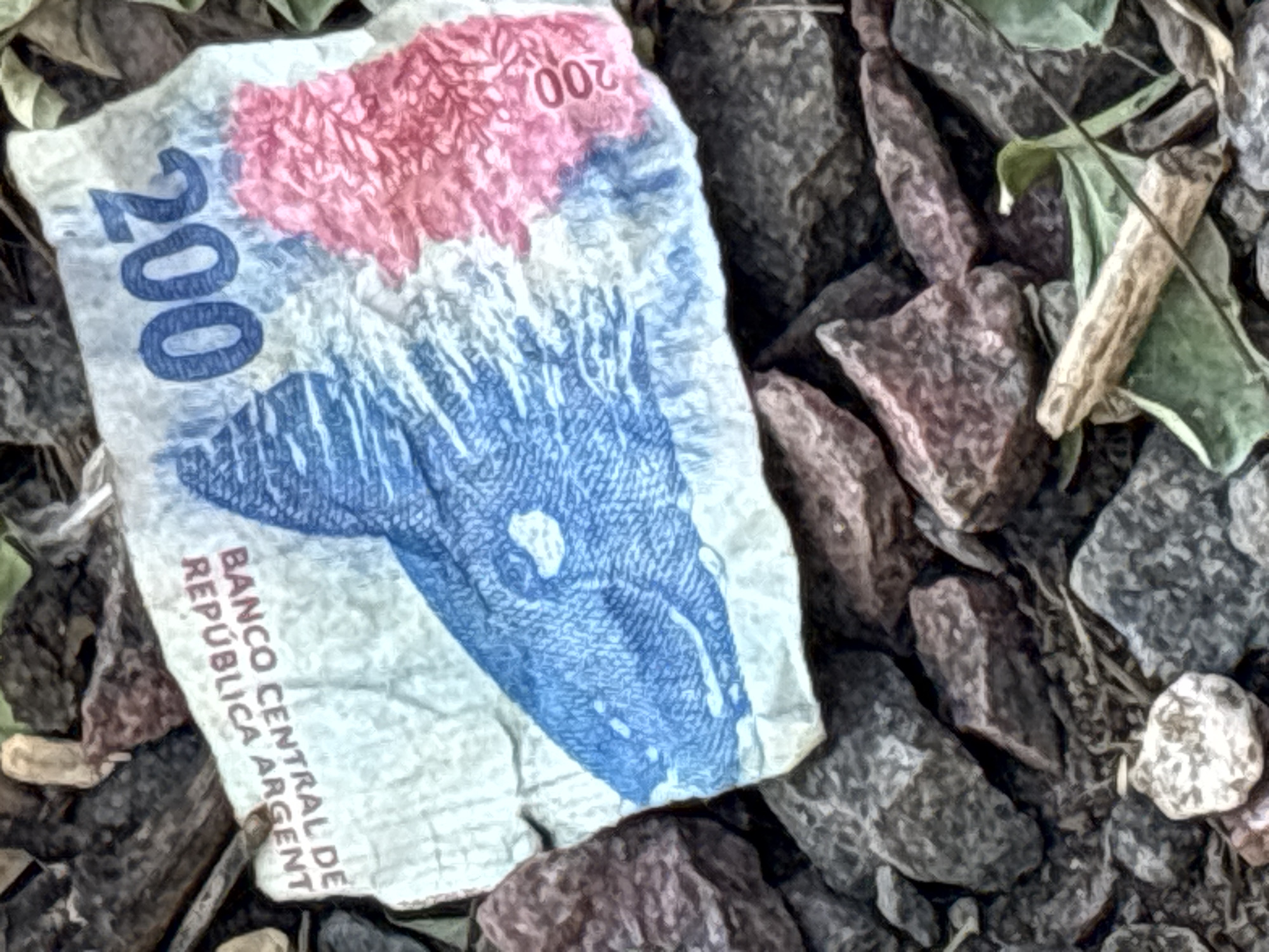An Argentinian 200 peso banknote lies crumpled on a bed of rocks and earthy debris. The banknote, predominantly white with blue and reddish-pink designs, is the central subject, positioned slightly to the left of the frame. The large number "200" in dark blue is prominently displayed on the left side of the bill, and a smaller, inverted "200" is visible in the upper right. The text "BANCO CENTRAL DE REPÚBLICA ARGENTINA" is legible along the bottom edge of the bill, oriented vertically. The blue design on the banknote depicts what appears to be a Southern Right Whale, consistent with Argentinian currency.
The banknote is surrounded by various sizes of dark grey, brown, and reddish rocks, suggesting an outdoor, possibly natural or unpaved, setting. Scattered among the rocks are small green leaves and dry twigs, indicating the presence of plant life. The banknote itself appears somewhat worn and creased, implying it has been dropped or discarded. The lighting suggests it is daytime, though no specific time can be determined. The image has a slightly textured, almost painterly quality, which enhances the colors and softens sharp edges. This scene, observed in Buenos Aires, Argentina, captures a moment of discarded currency amidst a natural, rocky environment.
