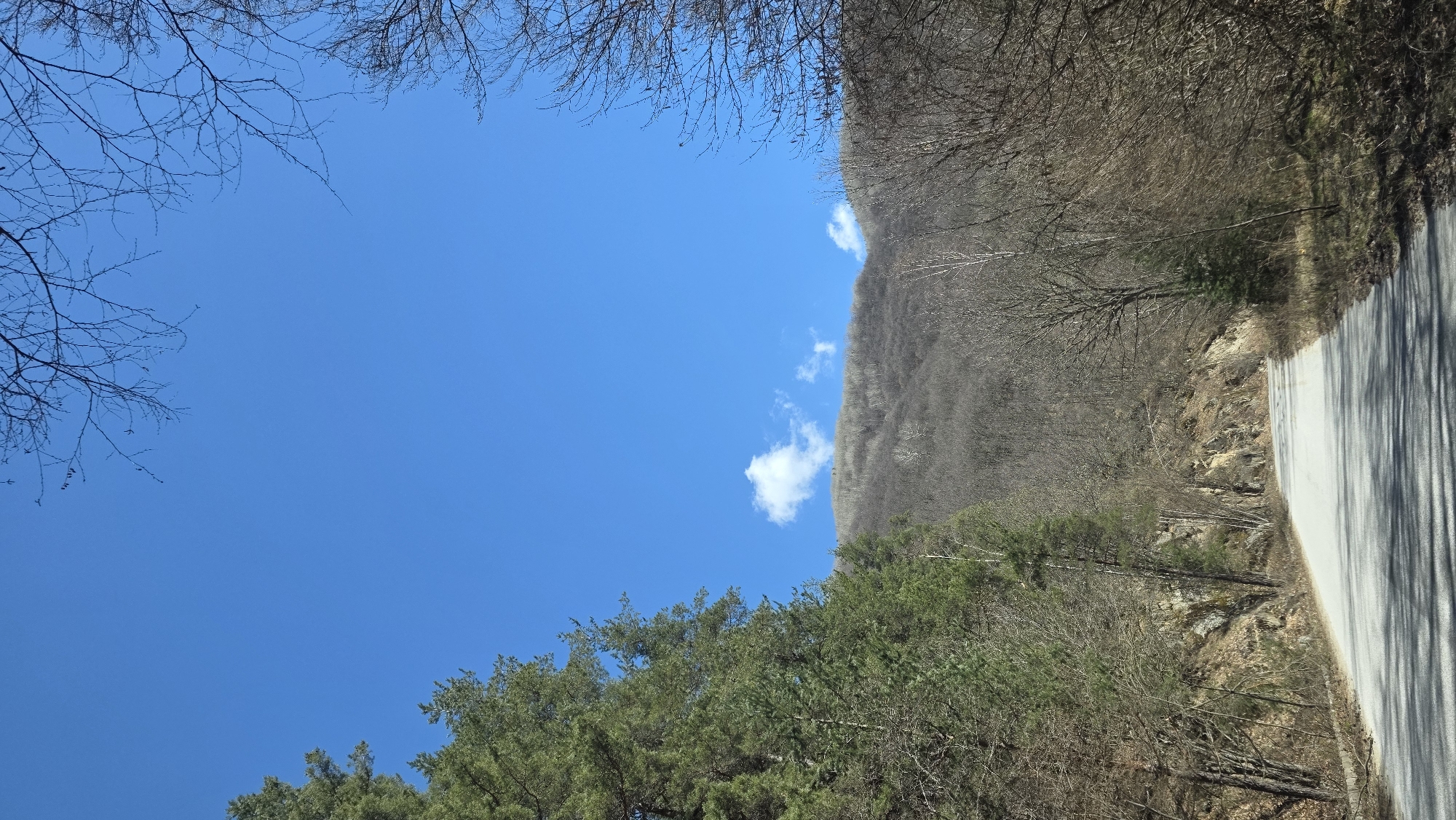 The image depicts a road winding through a mountainous region, likely near Blagoevgrad, Bulgaria. The sky is a clear blue with a few scattered clouds. On either side of the road, there is a mix of deciduous and coniferous trees, some with bare branches indicating it may be early spring or late autumn. A section of the road is visible, showing grey asphalt. The hillside adjacent to the road appears steep and rocky.