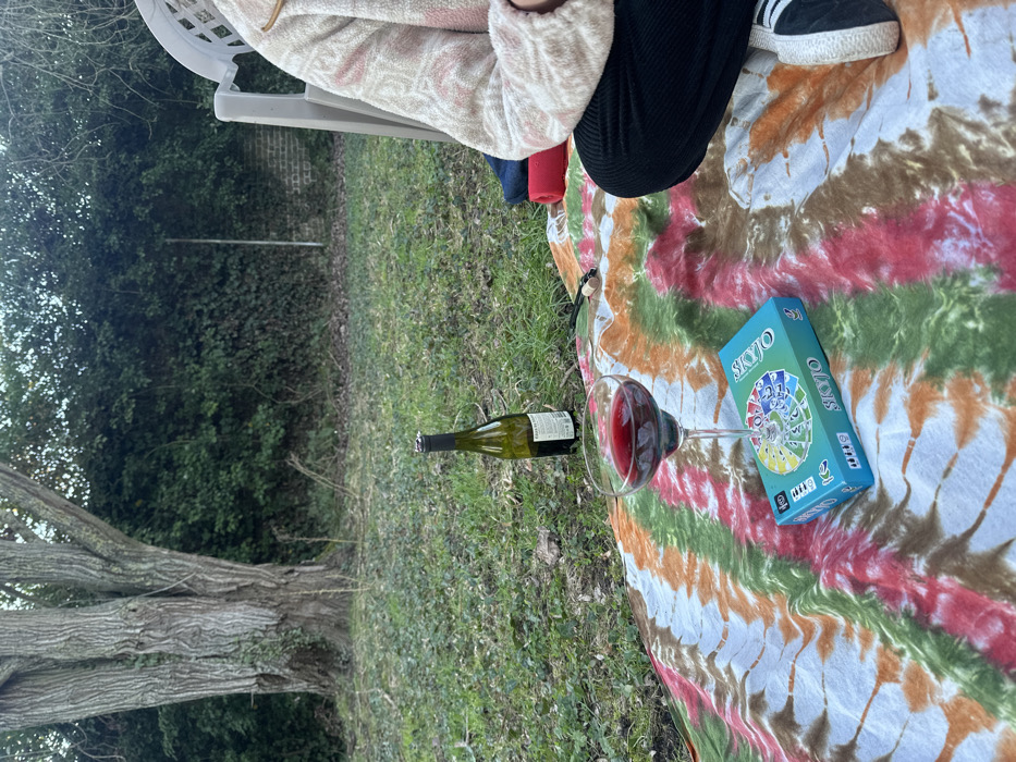 An outdoor scene in Carnin, France, depicts a partial view of an individual seated on a multi-colored tie-dye blanket on a grassy ground. The person, positioned on the right, wears a light-patterned fleece top, dark corduroy pants, and black and white sneakers. On the blanket in front of the individual is a stemmed glass containing red wine, resting above a blue "SKYJO" game box. Behind the blanket, on the grass, stands a partially uncorked green glass wine bottle. A cork is visible on the grass next to the bottle. The immediate environment consists of uneven grass with sparse vegetation. In the background, a large deciduous tree with exposed roots stands on the left. A dense wall of green foliage and a section of a brick wall are visible across the center and right background. A light-colored plastic outdoor chair is partially visible on the far right behind the seated individual.