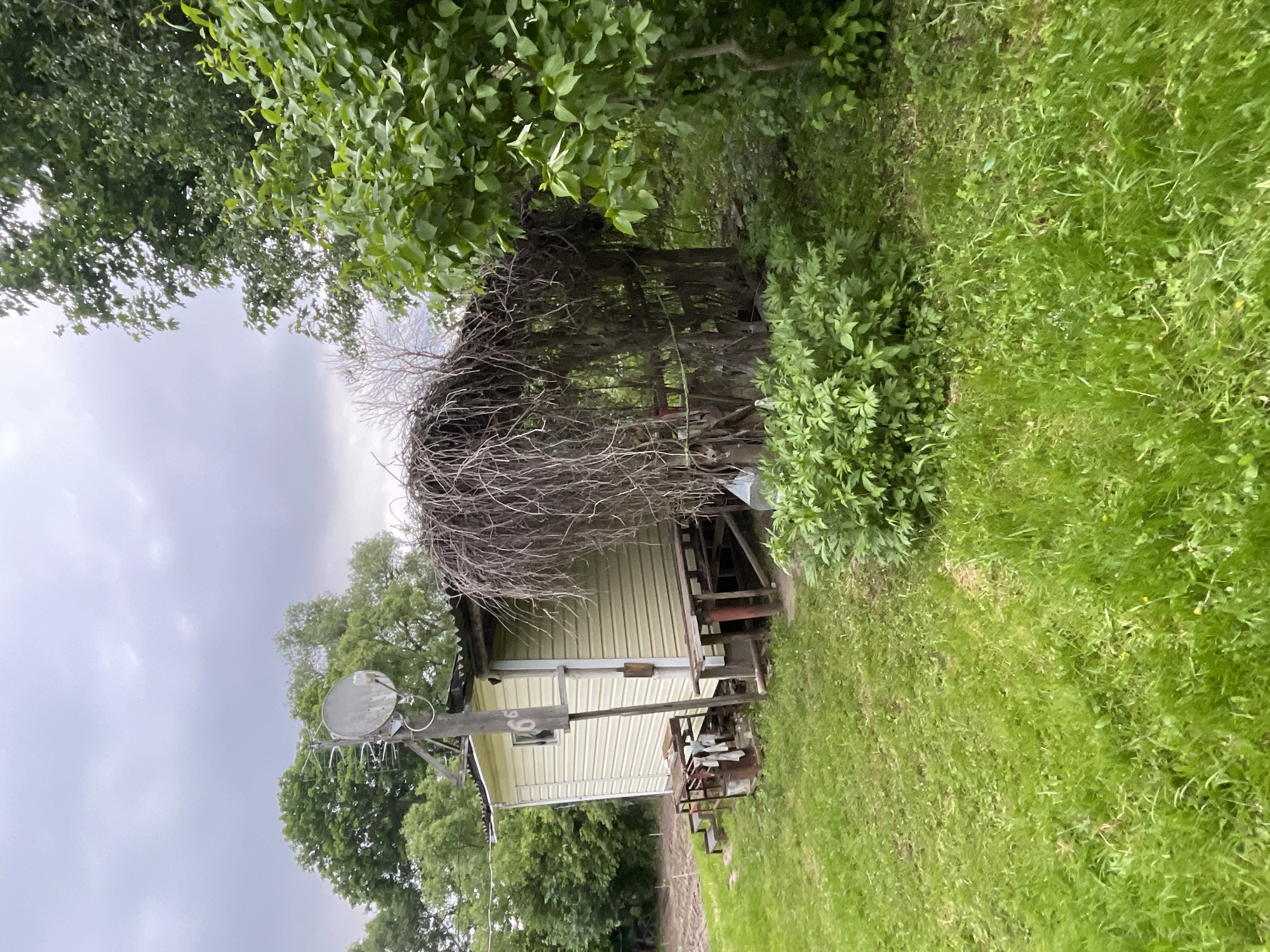 The image depicts a small, light yellow, possibly abandoned, wooden building in a rural or overgrown setting. The structure has a pitched roof and siding, with a visible satellite dish and antenna mounted on a pole extending from its side. A dense thicket of bare branches and greenery partially obscures the building. The surrounding environment includes lush green grass and vegetation. The sky is overcast. There is no clear indication of human presence or activity. The location in Staromoigory, Russia is based on an assumption.
