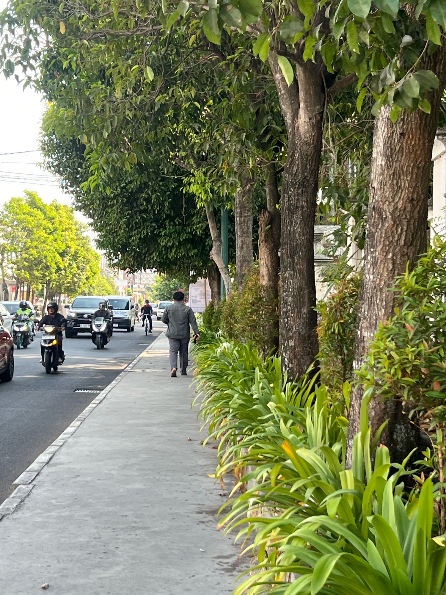 The image shows a street scene in Yogyakarta, Indonesia, on a sunny day. A sidewalk runs along the right side of the frame, lined with lush green plants and mature trees. A man in a grey shirt and trousers is walking away from the camera on the sidewalk. To the left of the sidewalk, a road is busy with traffic, including motorcycles and cars. Several motorcycles are seen on the road, with riders wearing helmets. The overall impression is of a vibrant urban environment with a touch of nature provided by the roadside greenery.