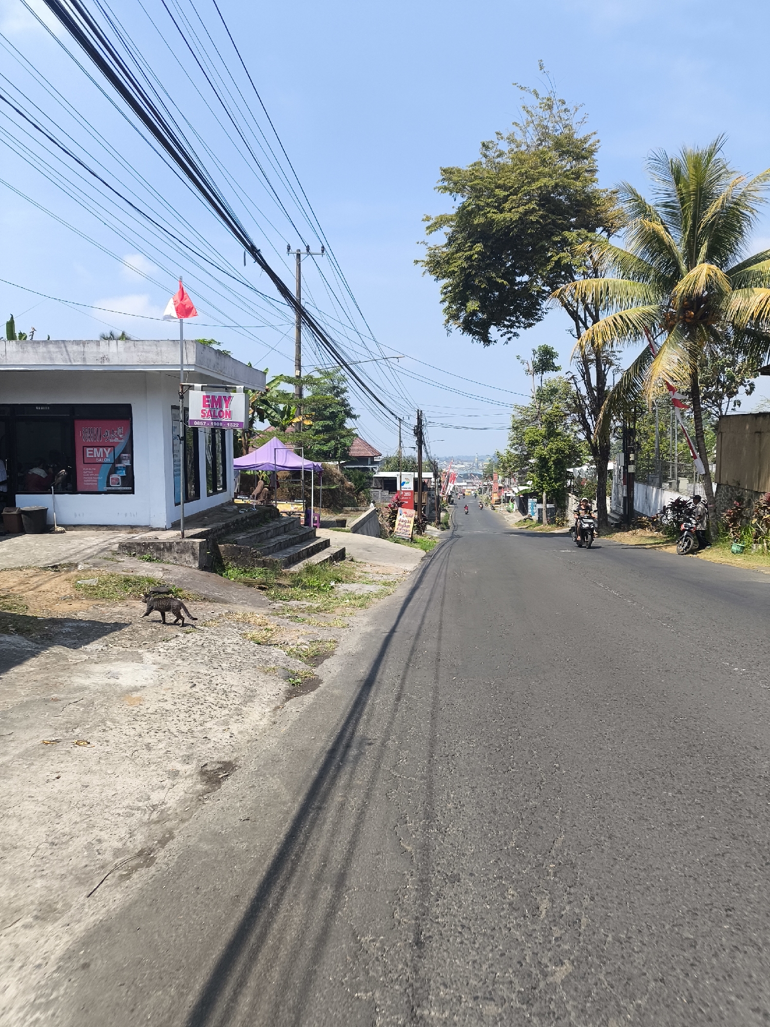The image depicts a street scene in Senduro, Indonesia, under a clear blue sky. On the left, a white building with large glass windows houses "EMY SALON." A red and white Indonesian flag flies from a pole on the roof. A gray cat walks on the concrete ground in front of the salon. A purple tent is set up near some stone steps leading up to a building in the background. The road, paved with asphalt, curves uphill and is lined with trees, including palm trees, and utility poles with numerous electrical wires. Several motorcycles are present, with two parked on the right side of the road and one rider on the road further ahead. Buildings and vegetation are visible on both sides of the road, suggesting a populated area.