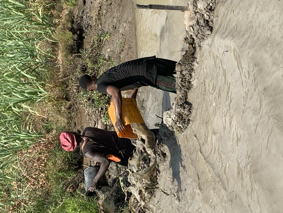 Two men work in a muddy area near a body of water. One man, wearing a maroon hat and a dark shirt, fills a black bucket with mud. The second man, in a black shirt and cap, empties a yellow container into the water. Tall green grasses line the edge. The water appears murky and disturbed by their activity. Mud and debris are caked on the embankment. A wooden post rises from the center of the water.