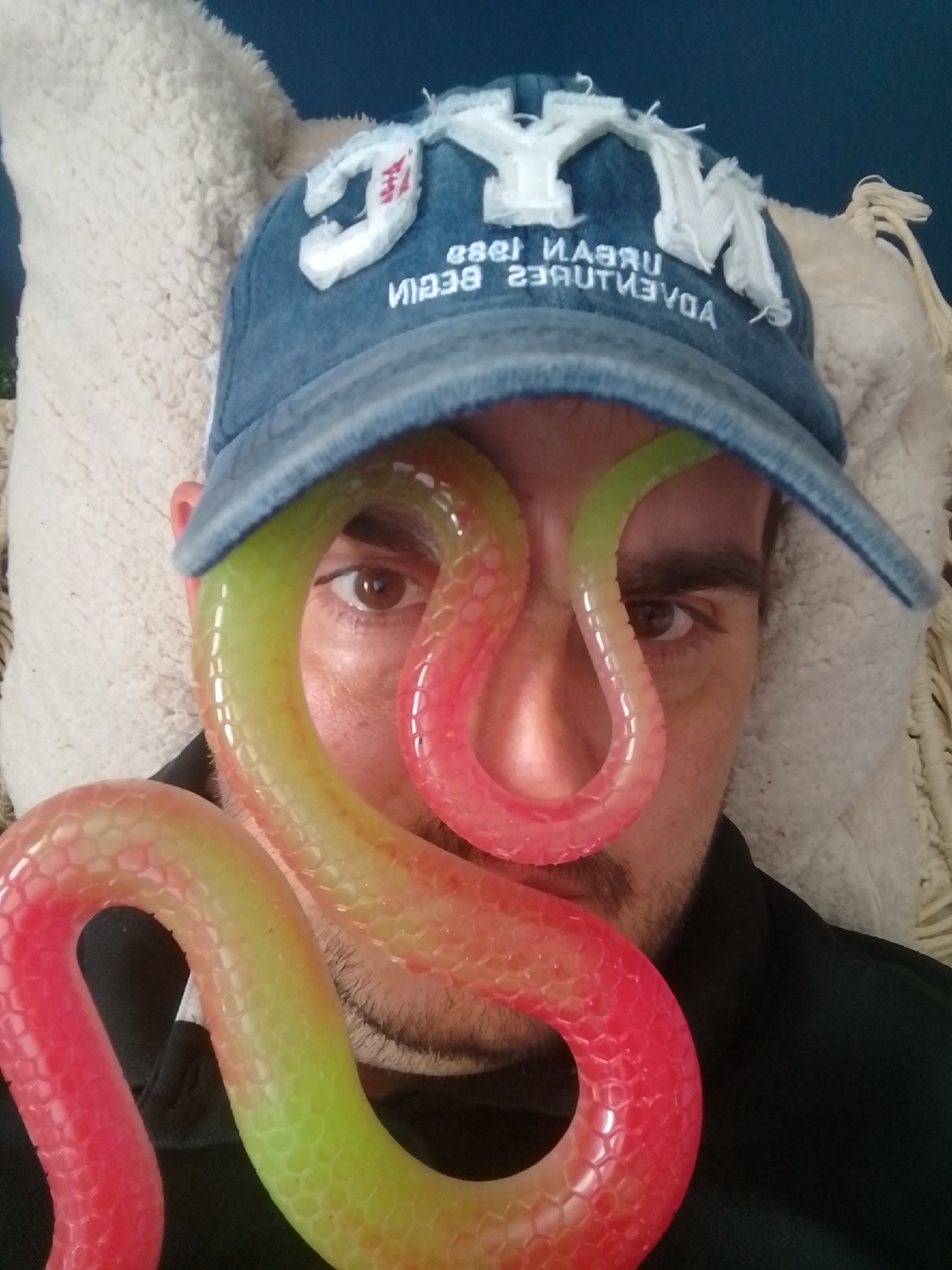 A person's face is partially obscured by a translucent, segmented toy snake that is green and red. The person is wearing a blue baseball cap with white lettering. The cap has the letters "NYC" and the words "URBAN ADVENTURES" visible. The person is lying on a beige, textured surface, possibly a pillow or blanket, with a dark blue background behind them. The image appears to be a selfie taken indoors. There is no visible information or context to associate this image with the city of Wedel, Germany.
